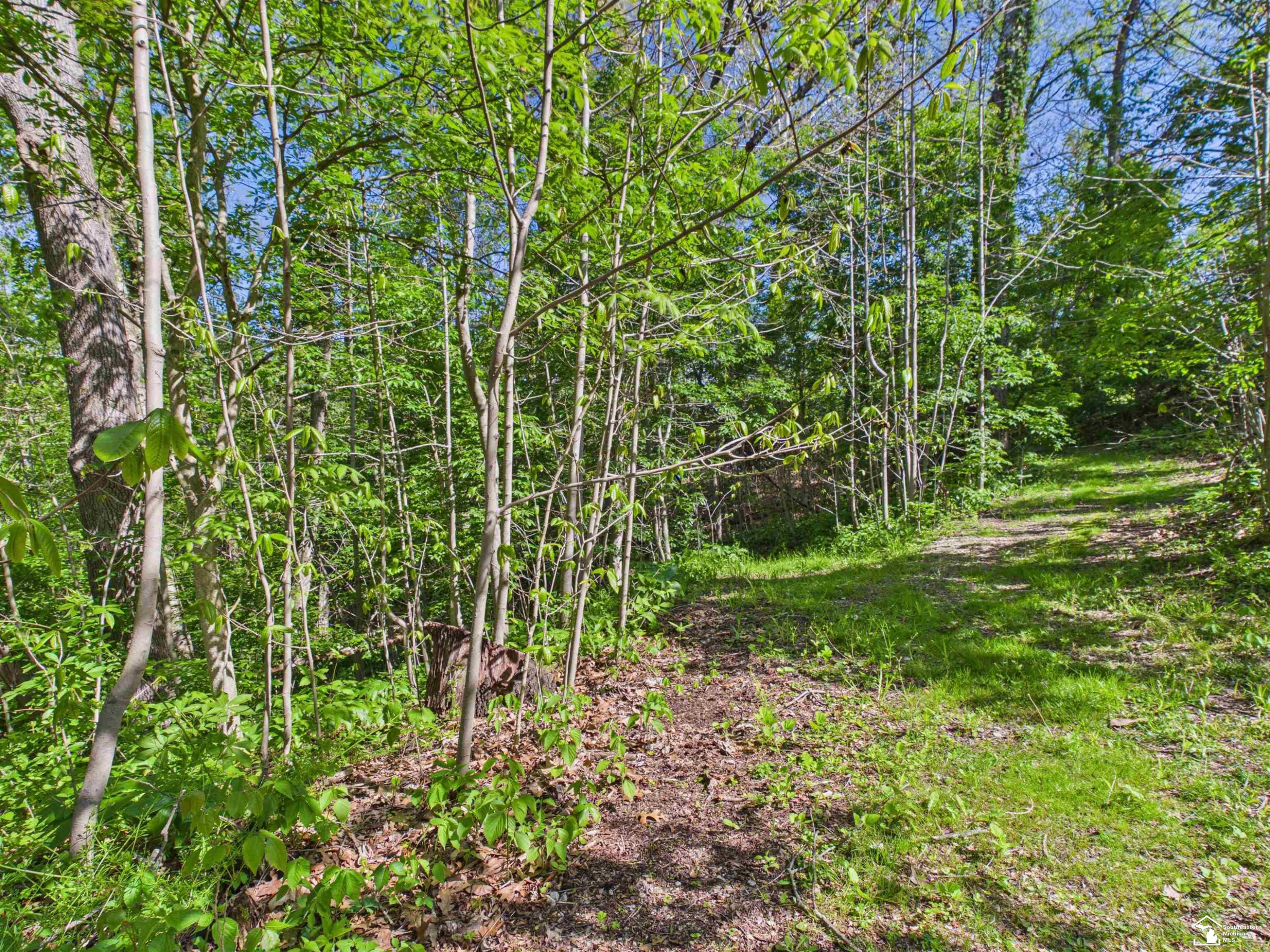 7211 Wildhaven Park Road, Lambertville, MI 48144 — Photo 58