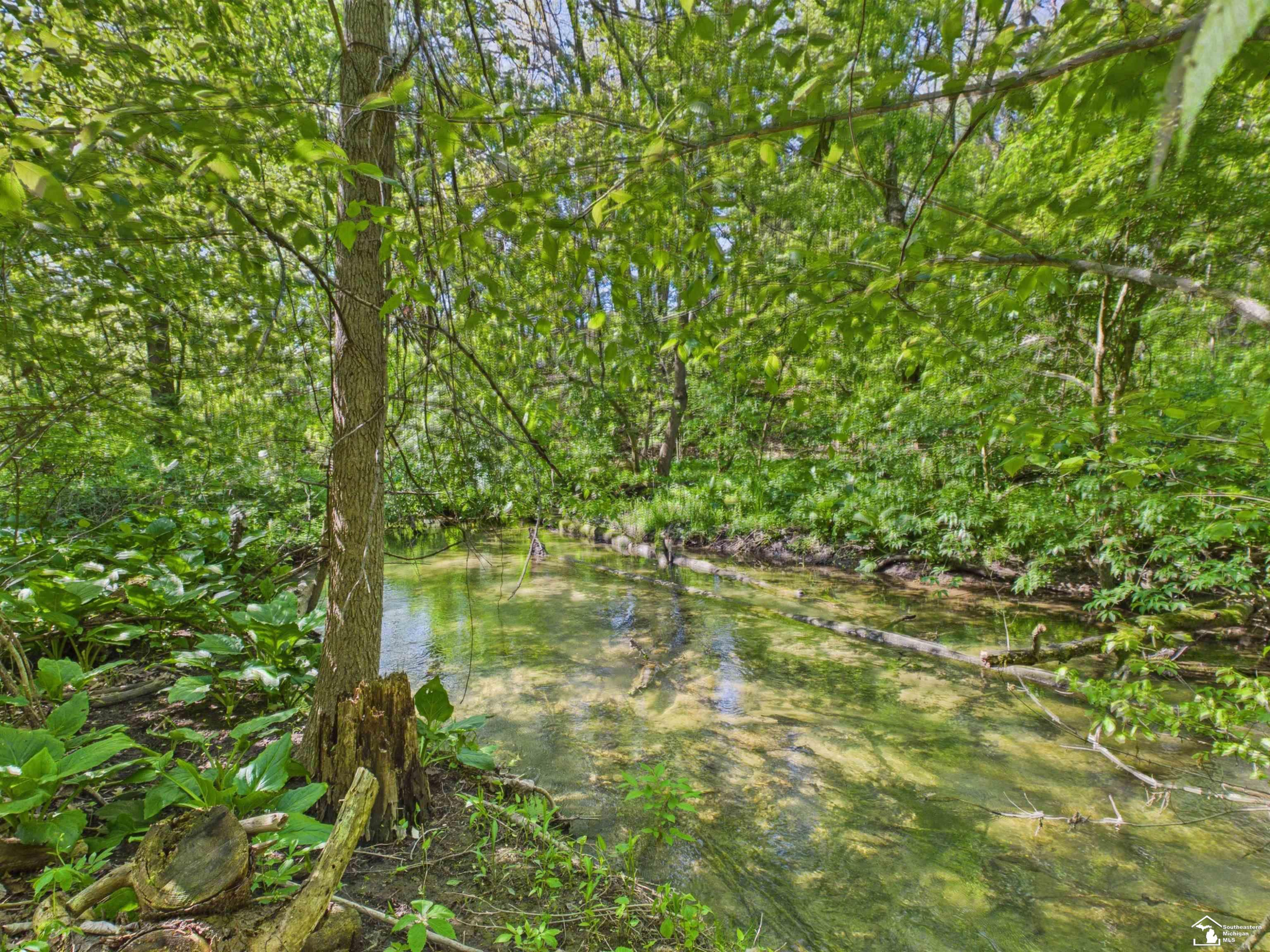 7211 Wildhaven Park Road, Lambertville, MI 48144 — Photo 61