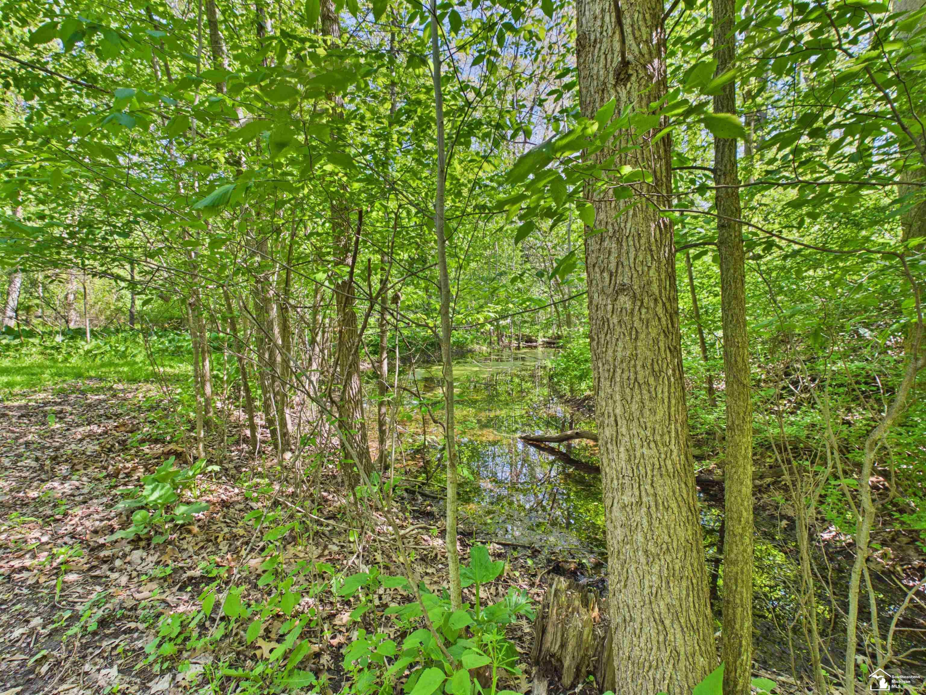 7211 Wildhaven Park Road, Lambertville, MI 48144 — Photo 62