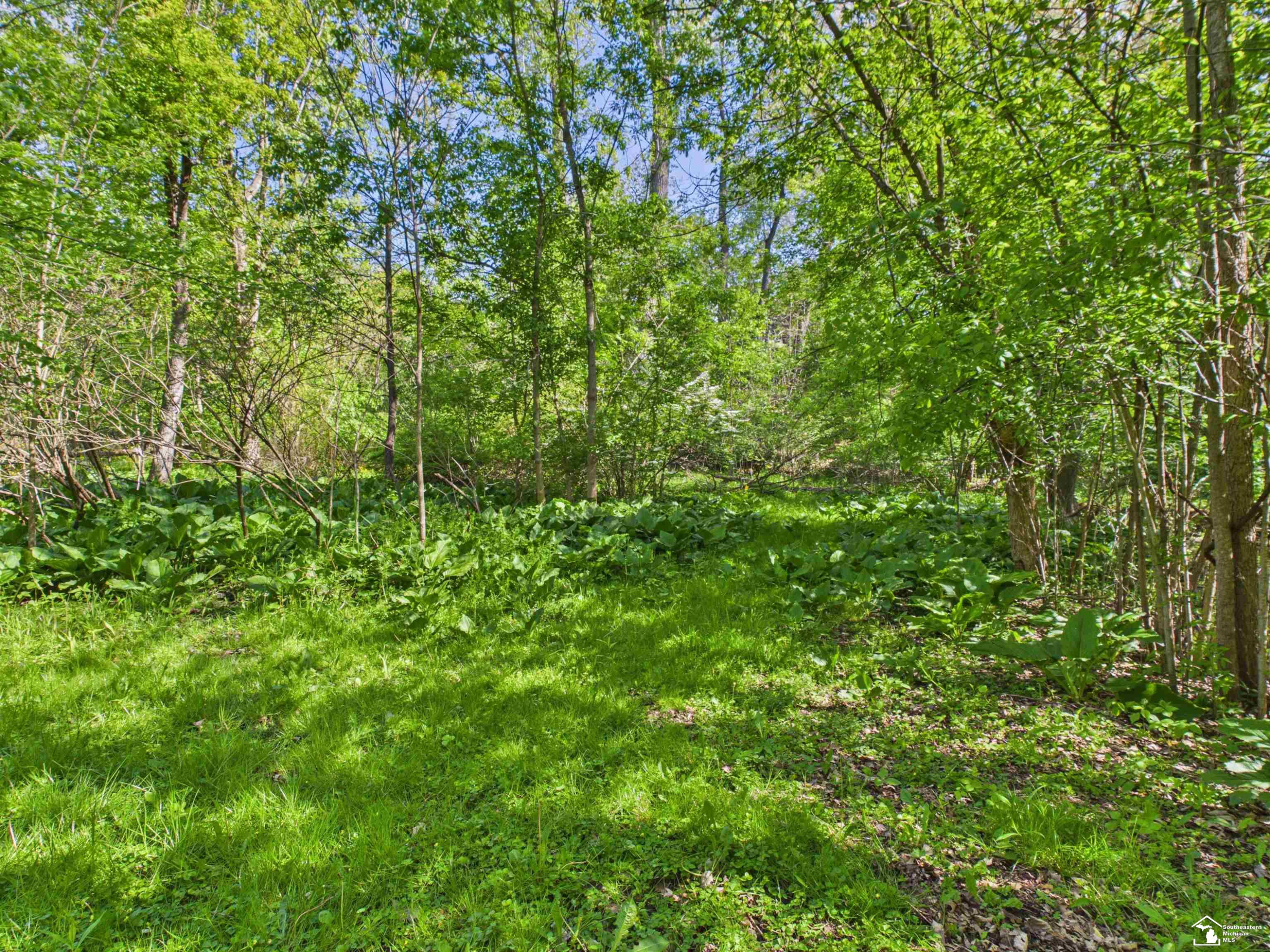 7211 Wildhaven Park Road, Lambertville, MI 48144 — Photo 64