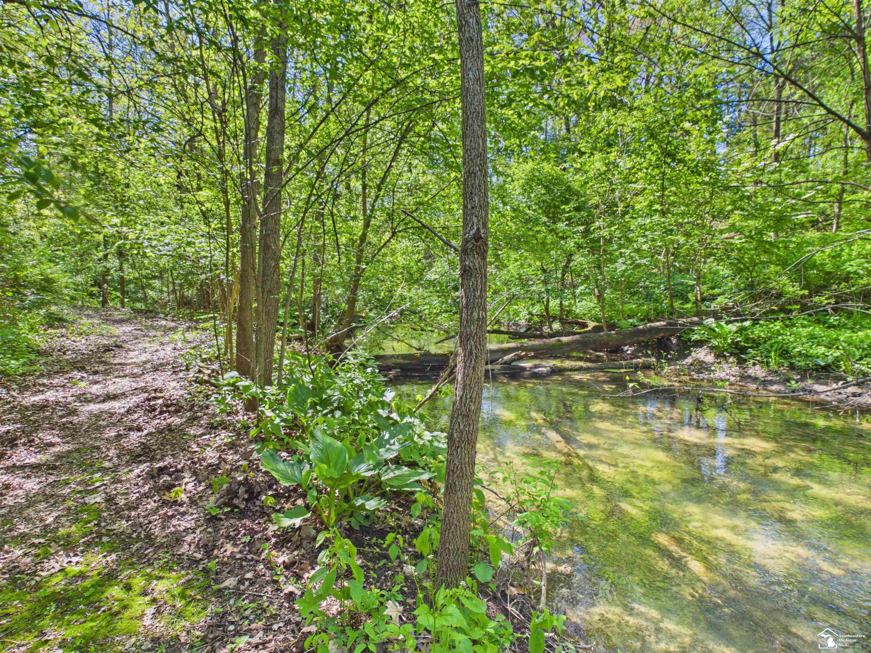 7211 Wildhaven Park Road, Lambertville, MI 48144 — Photo 66