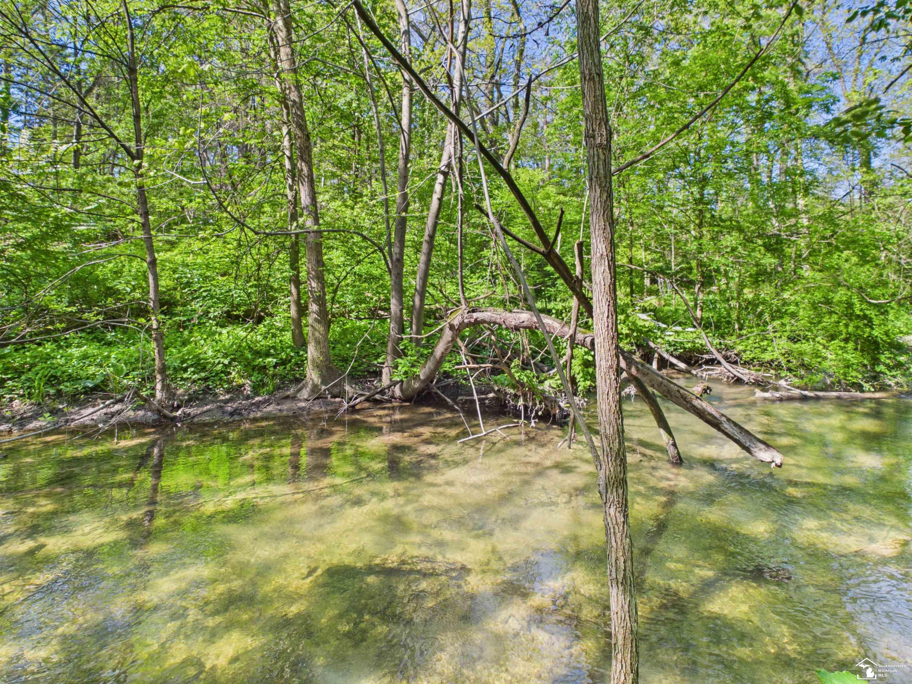7211 Wildhaven Park Road, Lambertville, MI 48144 — Photo 67