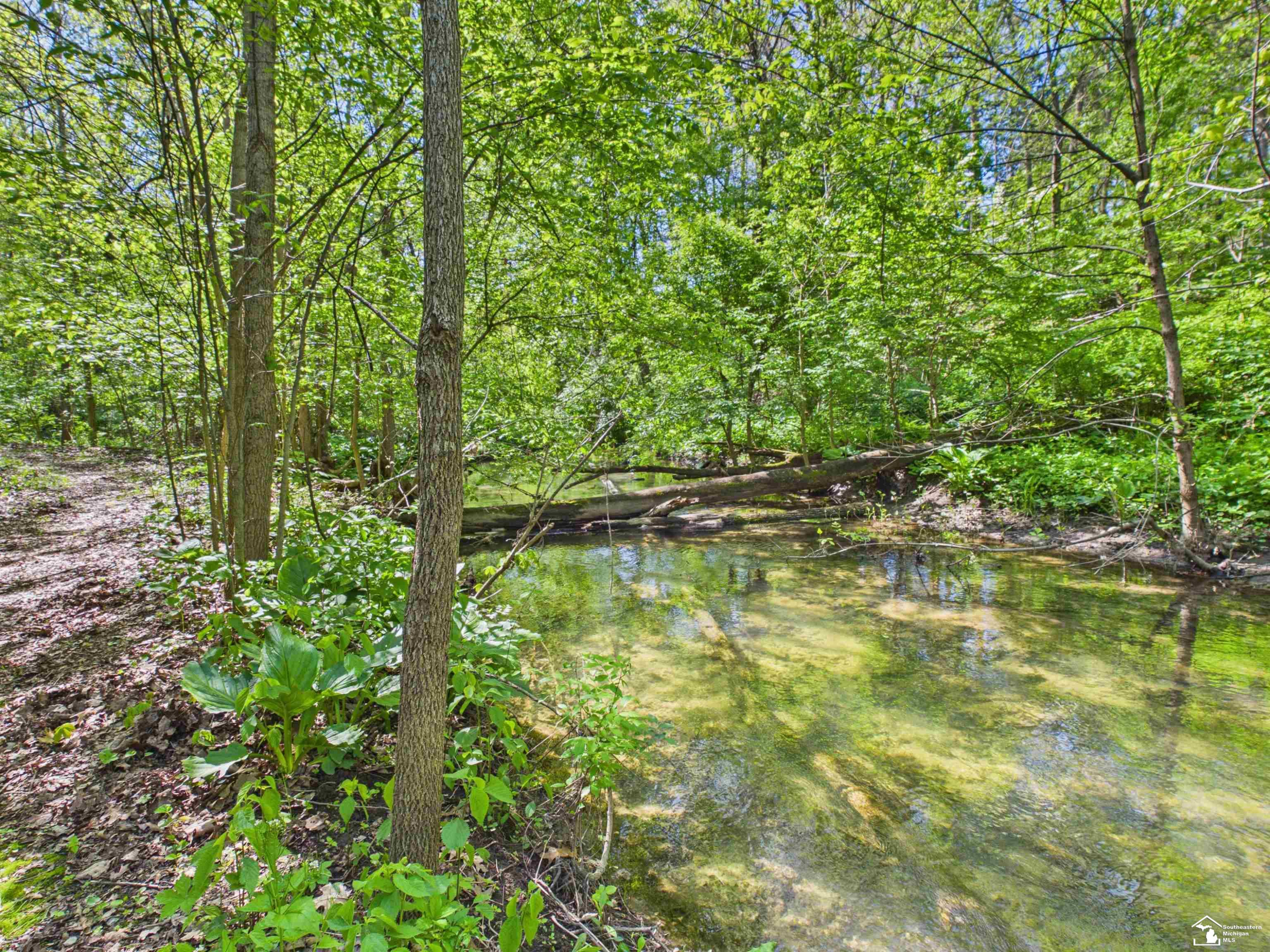 7211 Wildhaven Park Road, Lambertville, MI 48144 — Photo 68