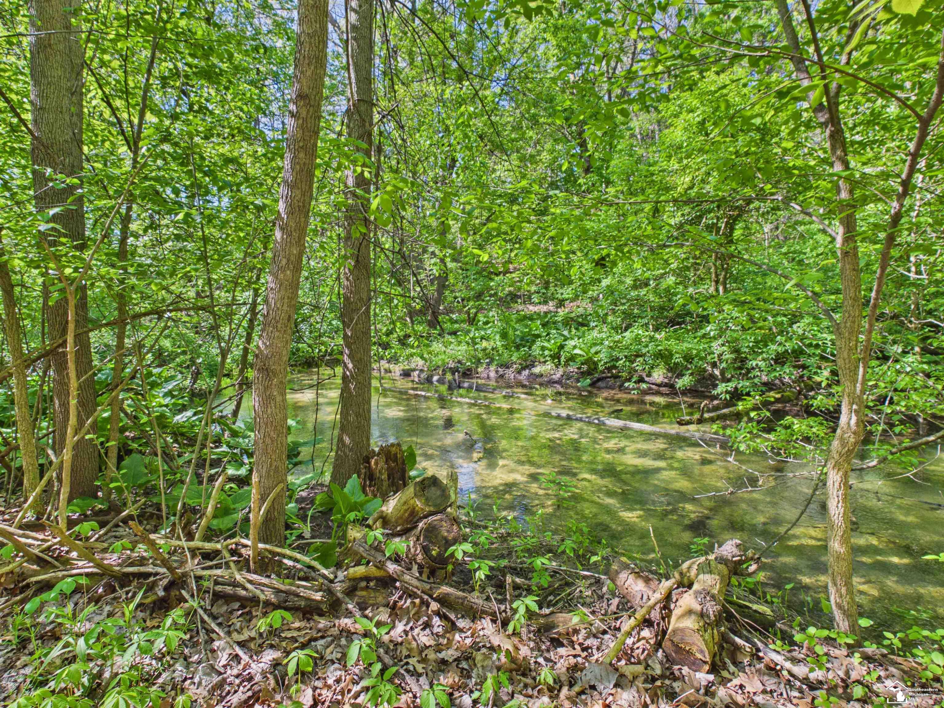 7211 Wildhaven Park Road, Lambertville, MI 48144 — Photo 69