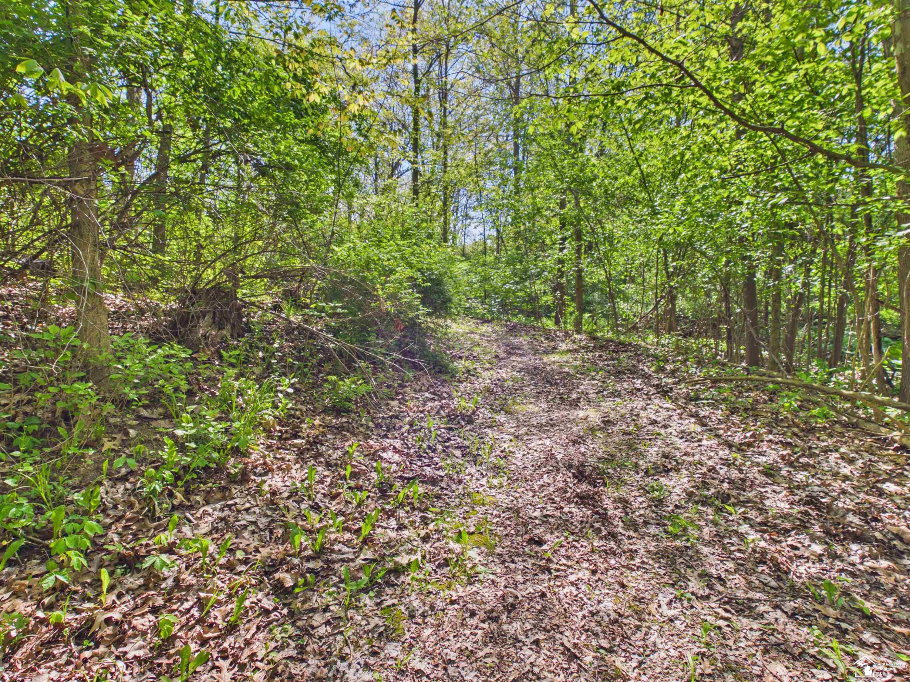 7211 Wildhaven Park Road, Lambertville, MI 48144 — Photo 70