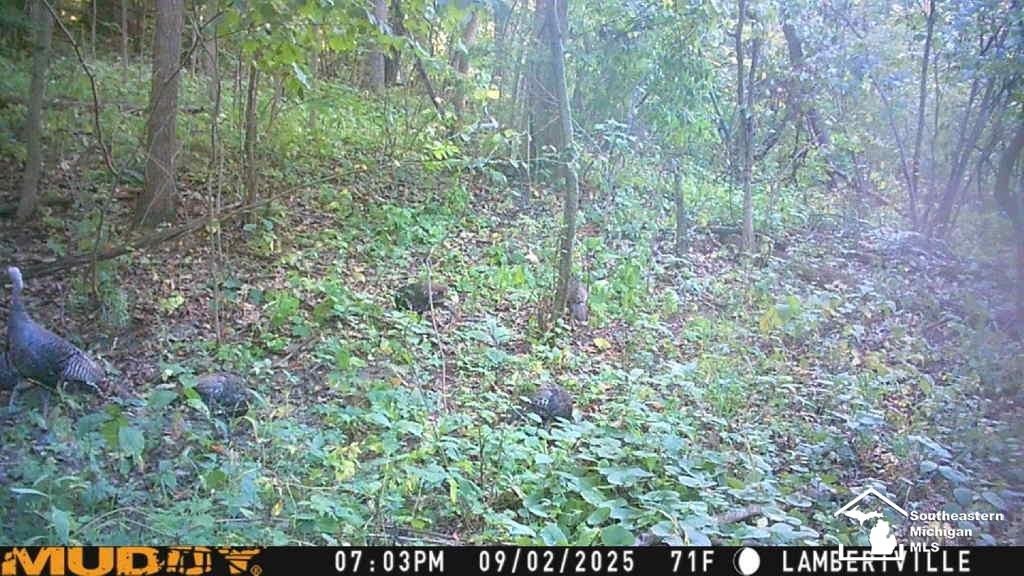 7211 Wildhaven Park Road, Lambertville, MI 48144 — Photo 75