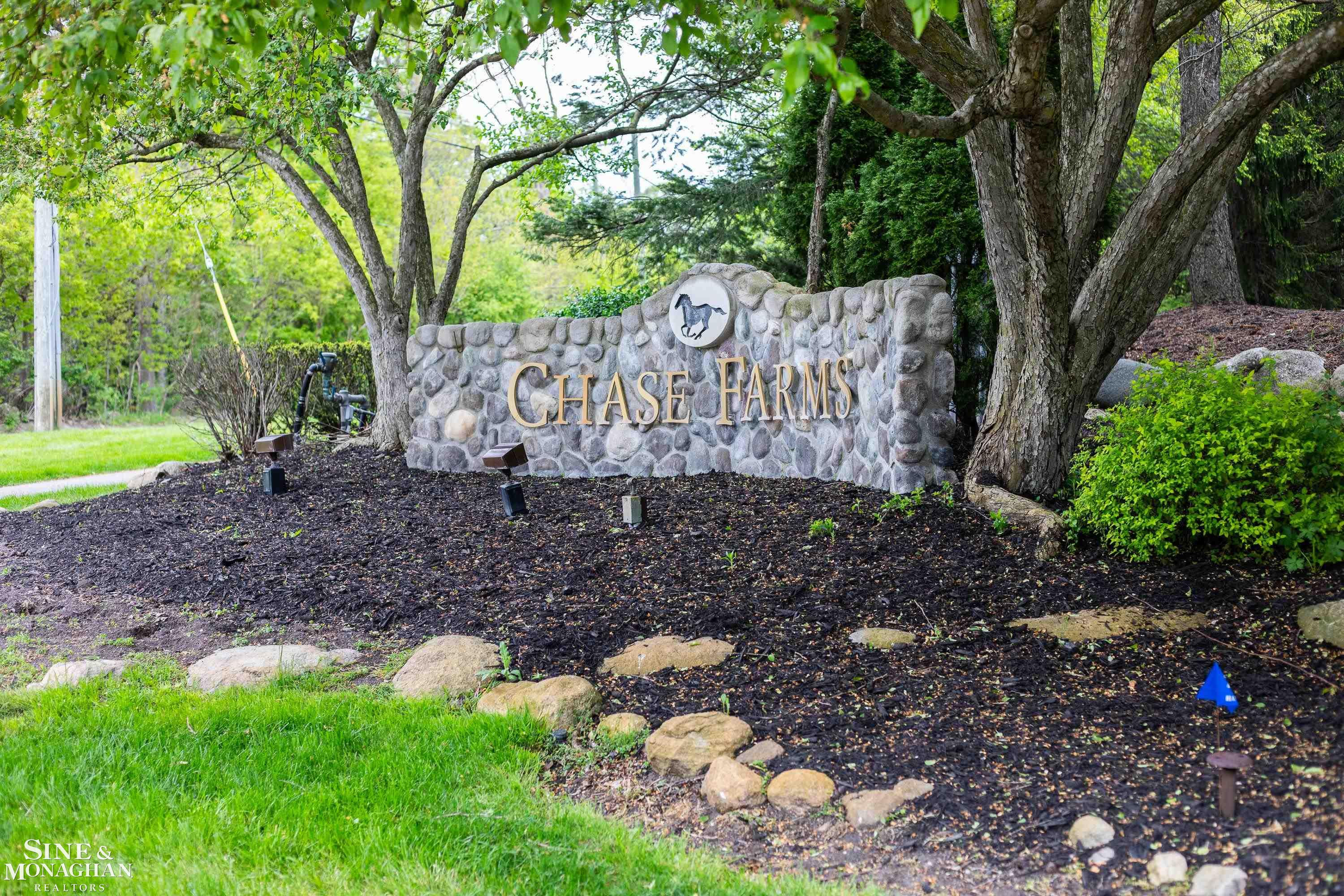 41719 Sudbury Court, Novi, MI 48375 — Photo 75