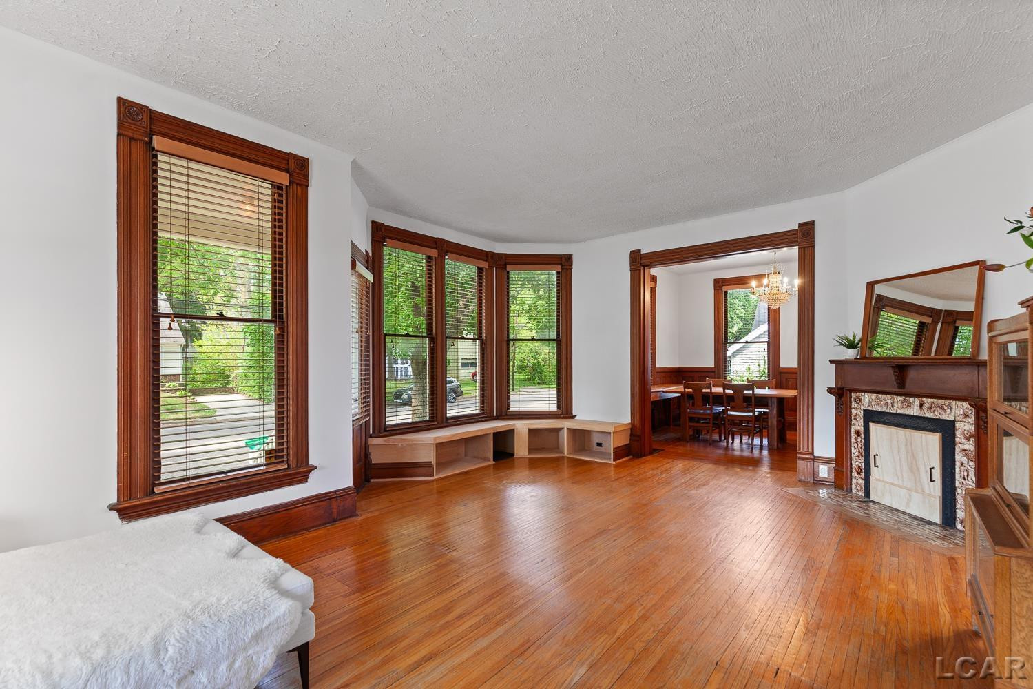 403 N Locust St Street, Adrian, MI 49221 — Photo 38
