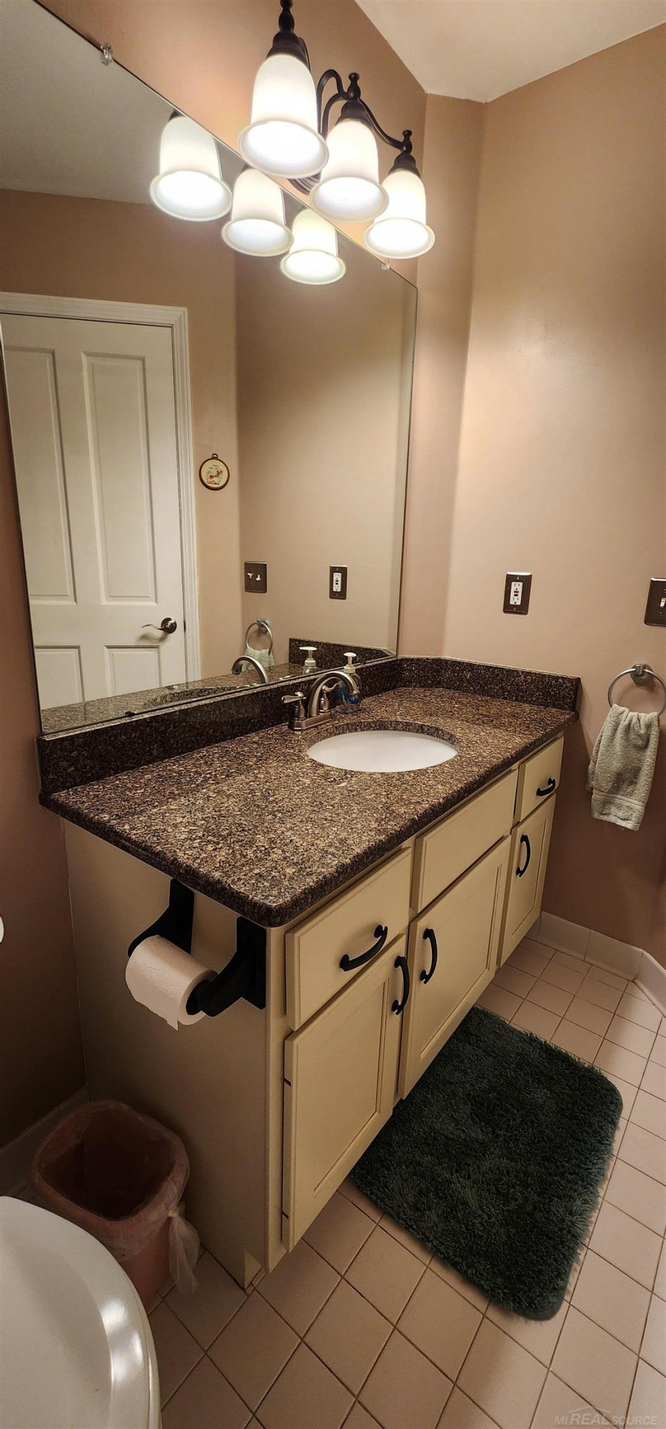 46809 Burt Court, Chesterfield, MI 48047 — Photo 20