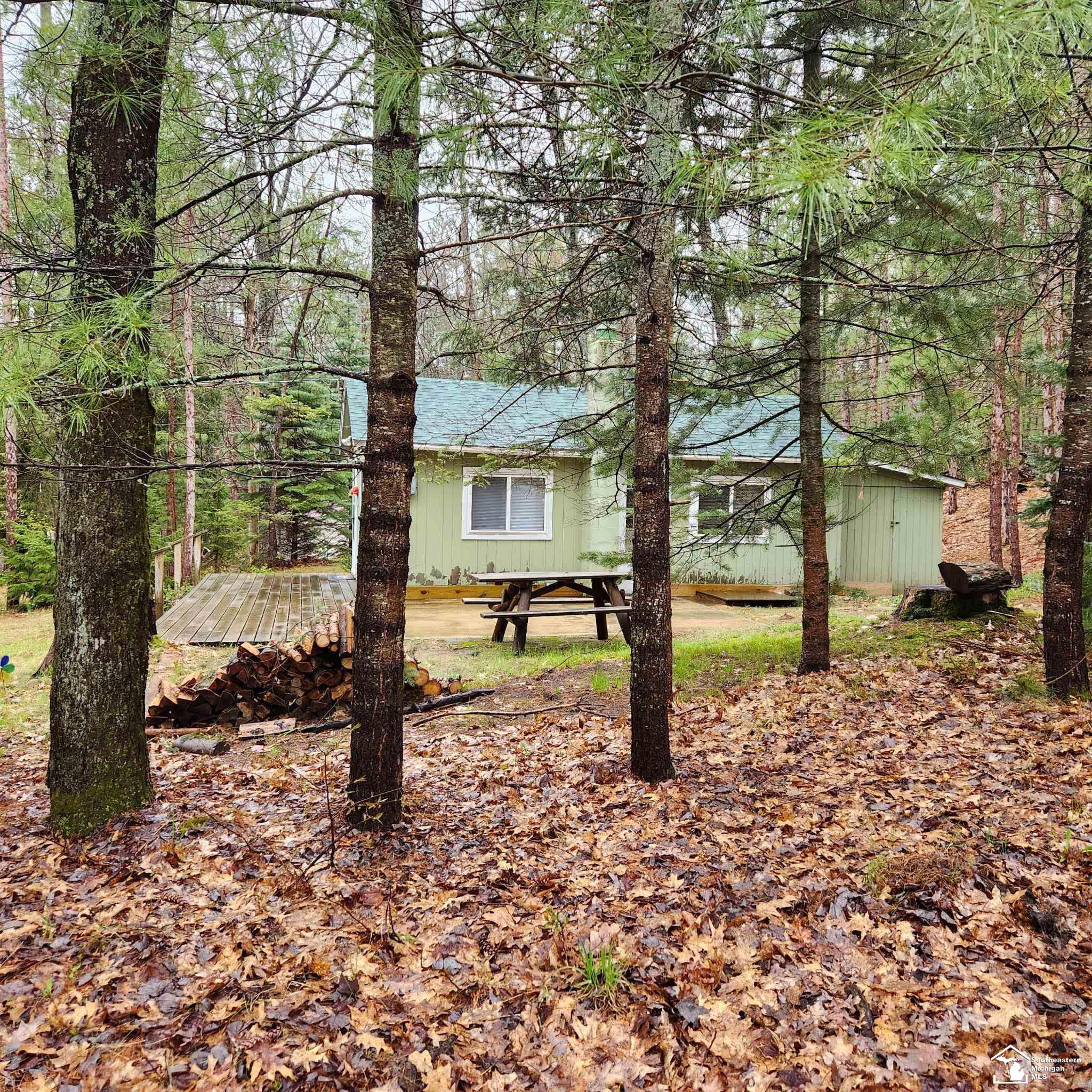 497 E Bear Lake Rd. NE Road, Kalkaska, MI 49646 — Photo 9