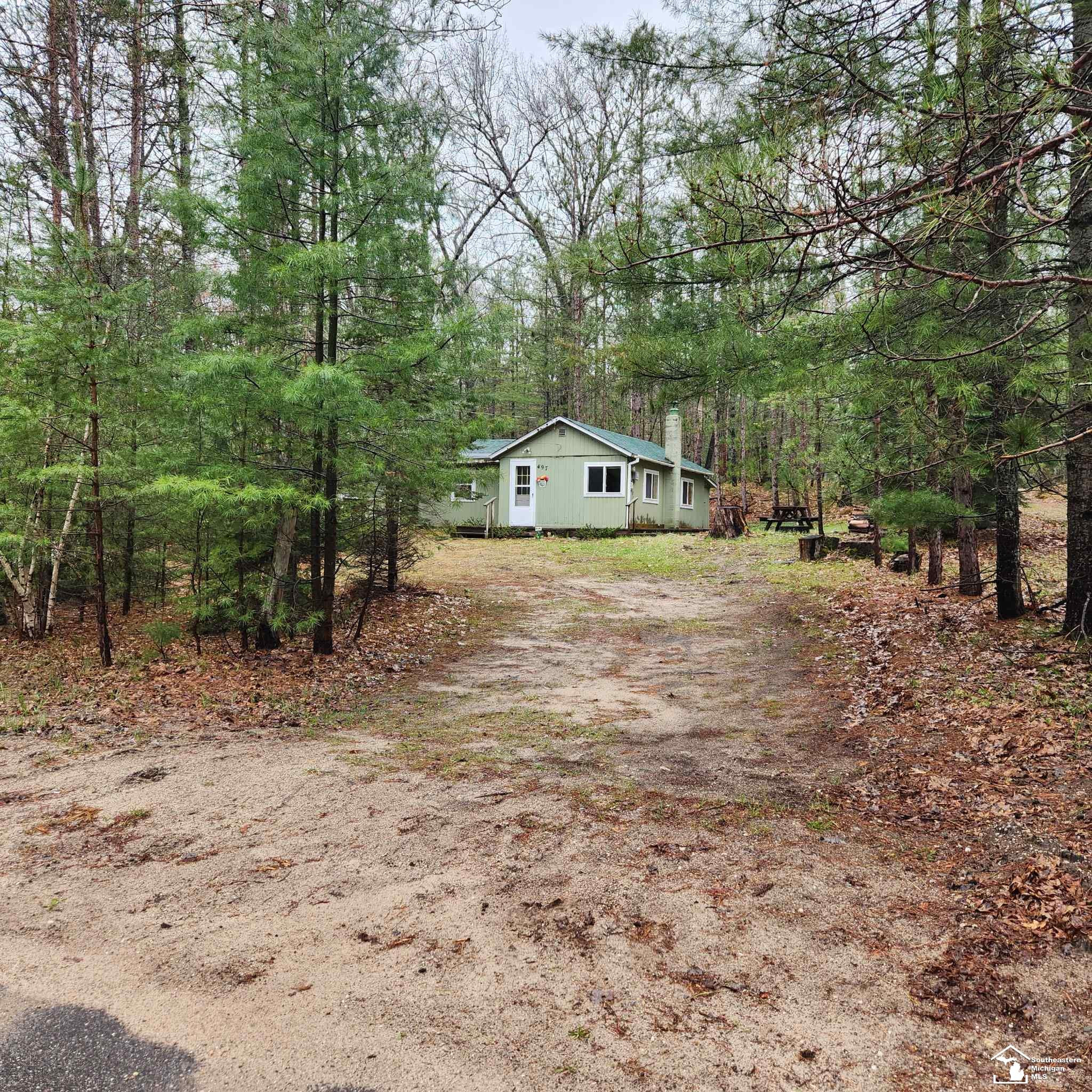 497 E Bear Lake Rd. NE Road, Kalkaska, MI 49646 — Photo 10