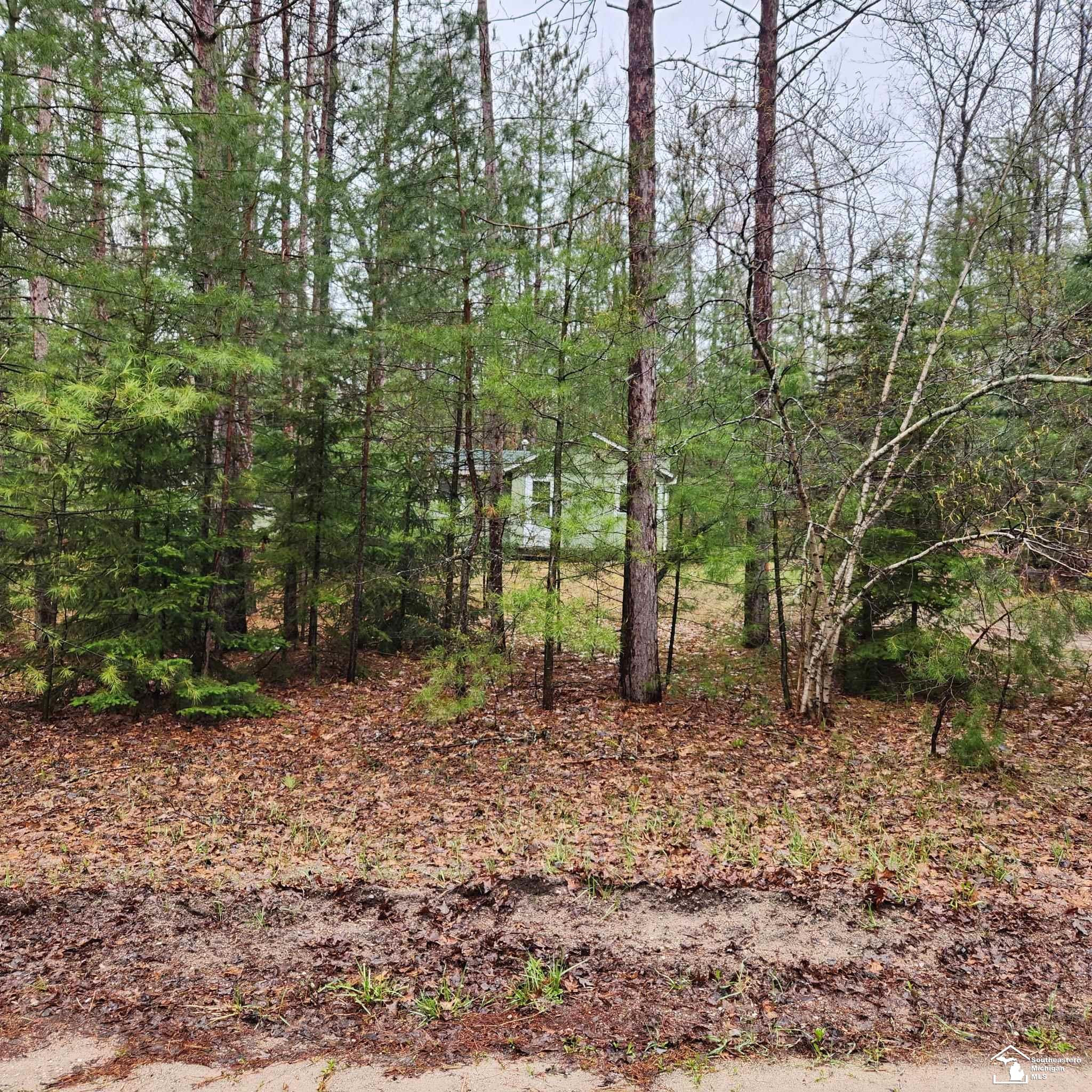 497 E Bear Lake Rd. NE Road, Kalkaska, MI 49646 — Photo 11