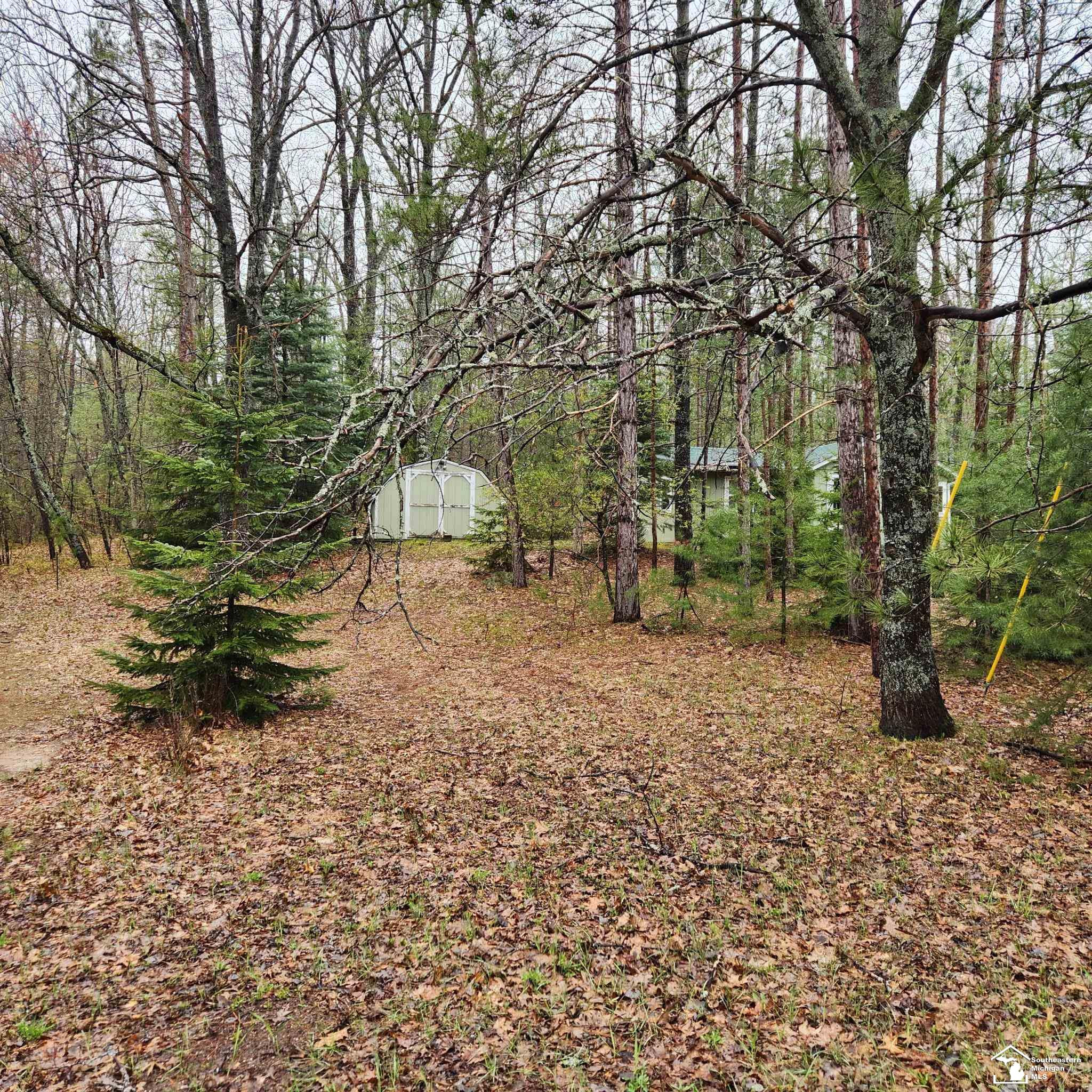 497 E Bear Lake Rd. NE Road, Kalkaska, MI 49646 — Photo 12