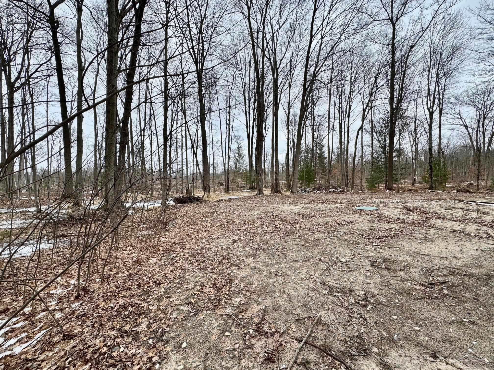 219 S Nine Mile Road, Midland, MI 48640 — Photo 41
