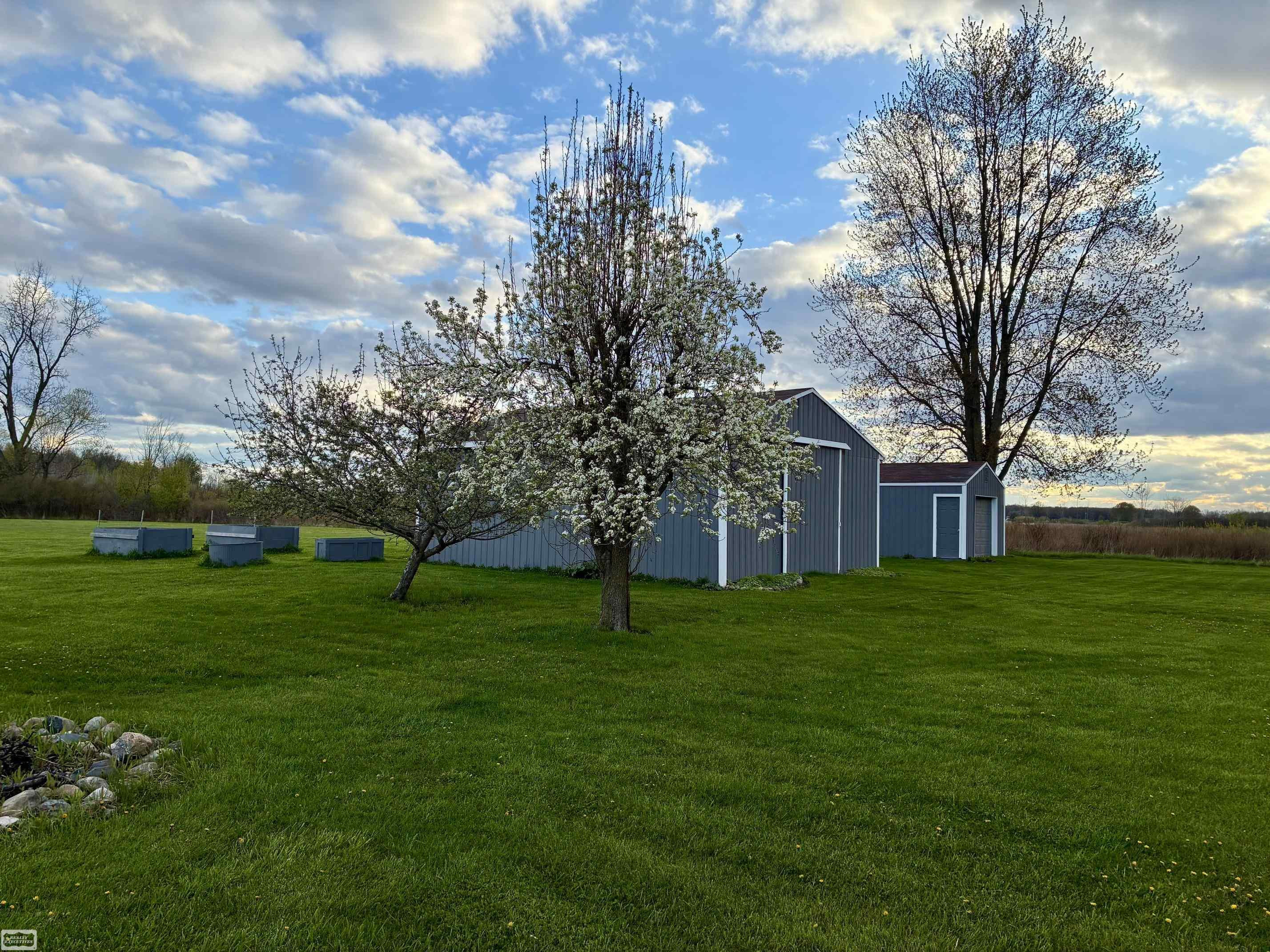 15687 Norman Road, Yale, MI 48097 — Photo 3