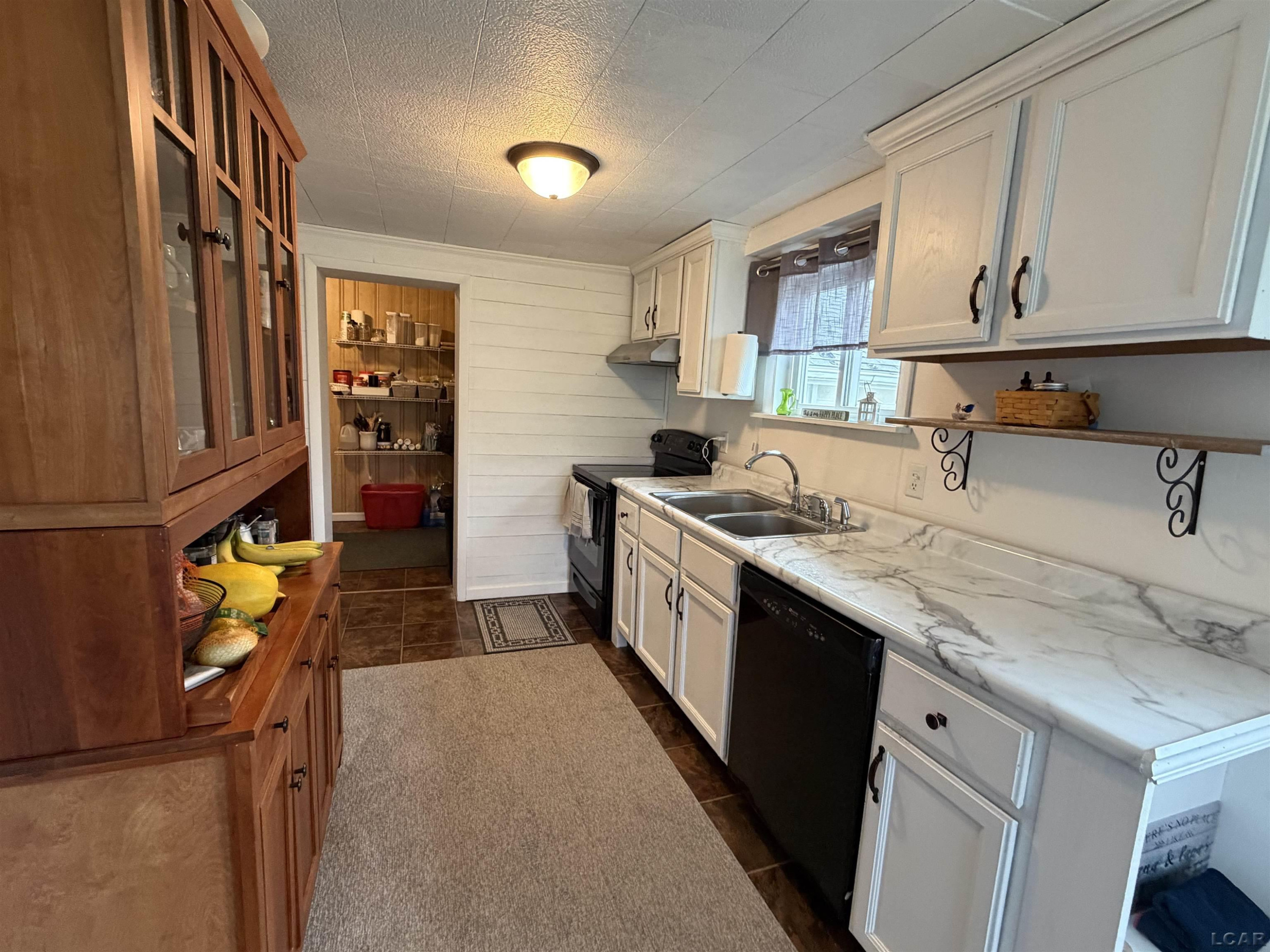 11725 Thompson Highway, Blissfield, MI 49228 — Photo 4