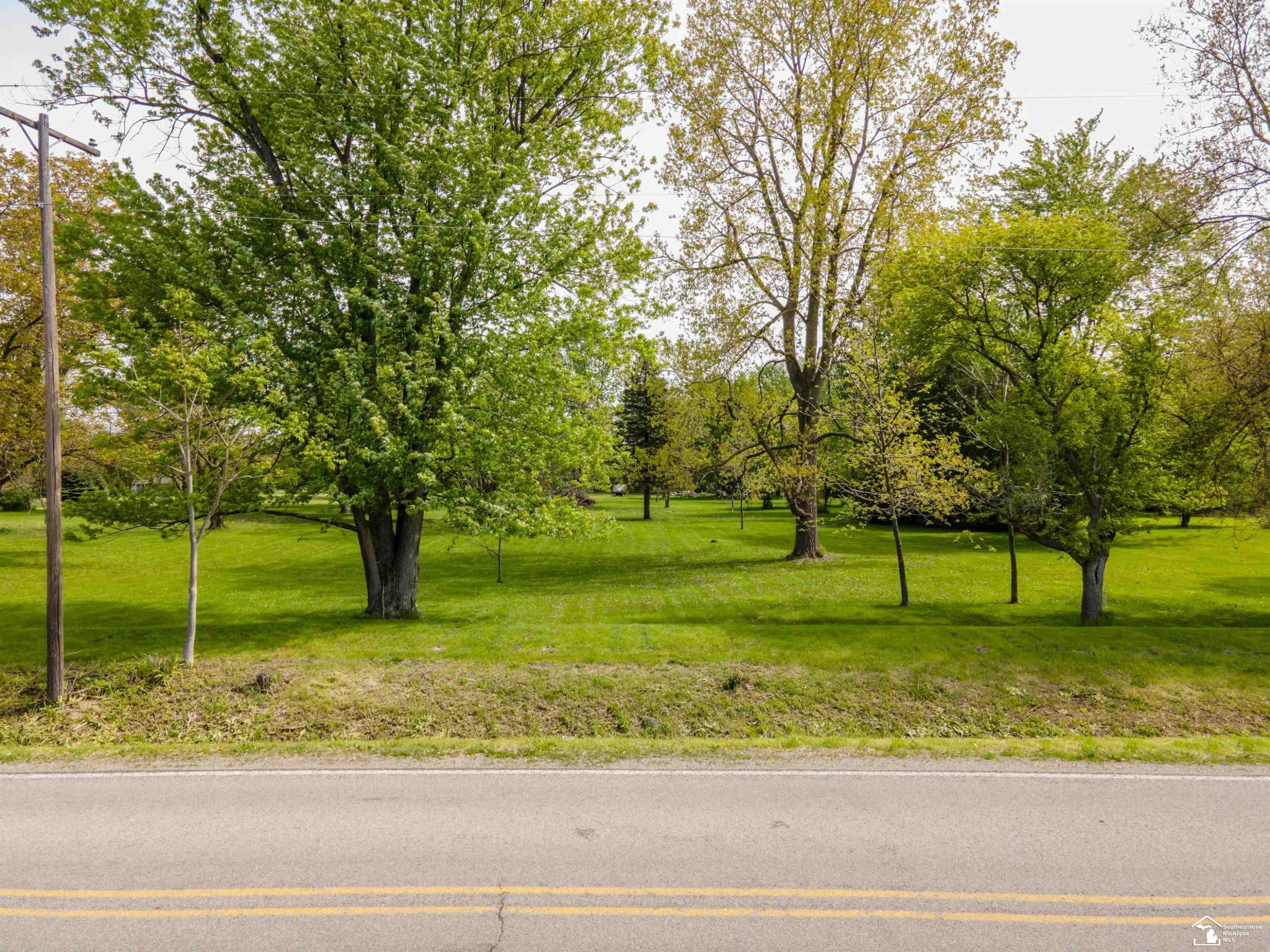 4175 Teal Road, MI 49270 — Photo 5