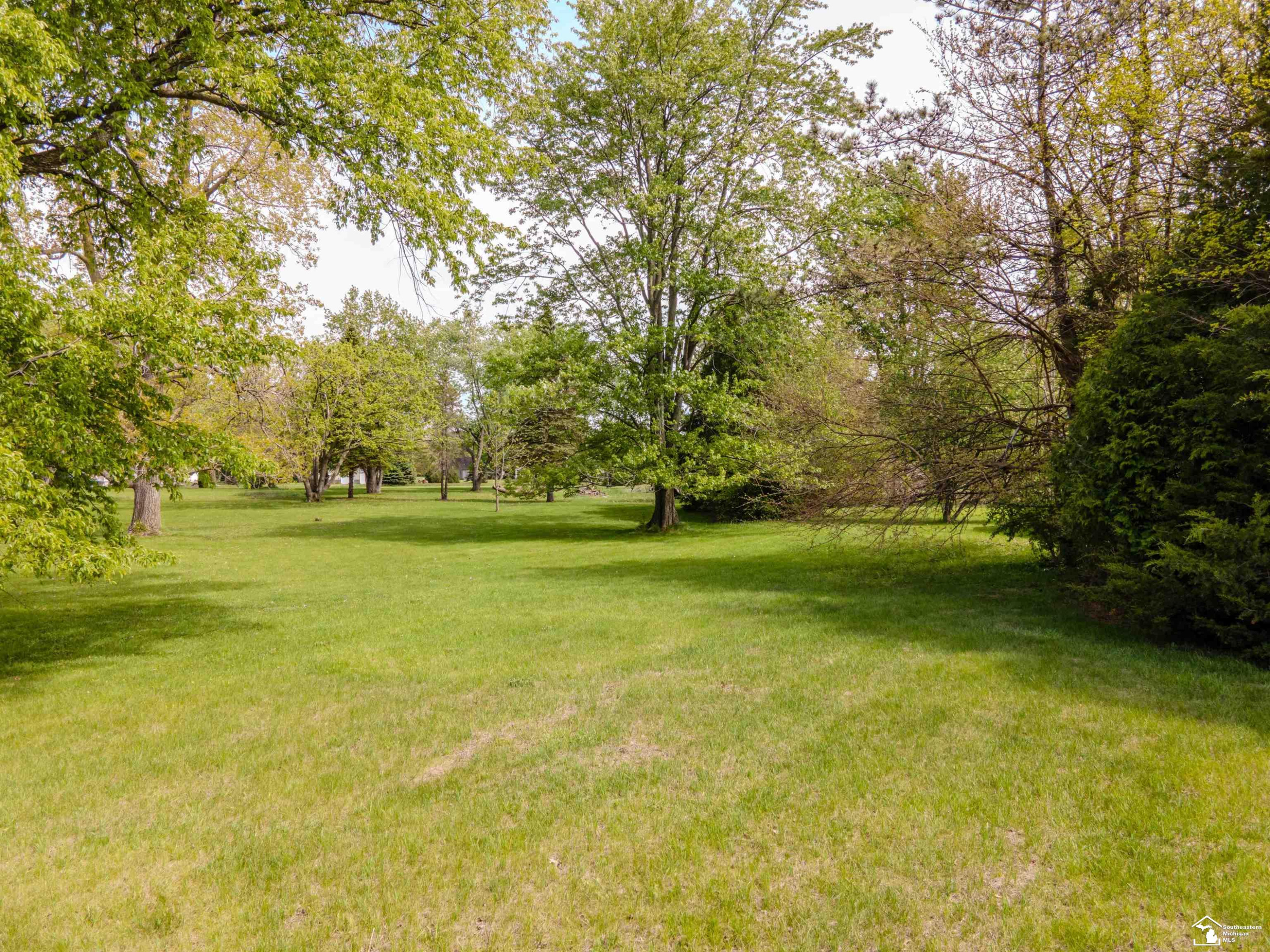4175 Teal Road, MI 49270 — Photo 6