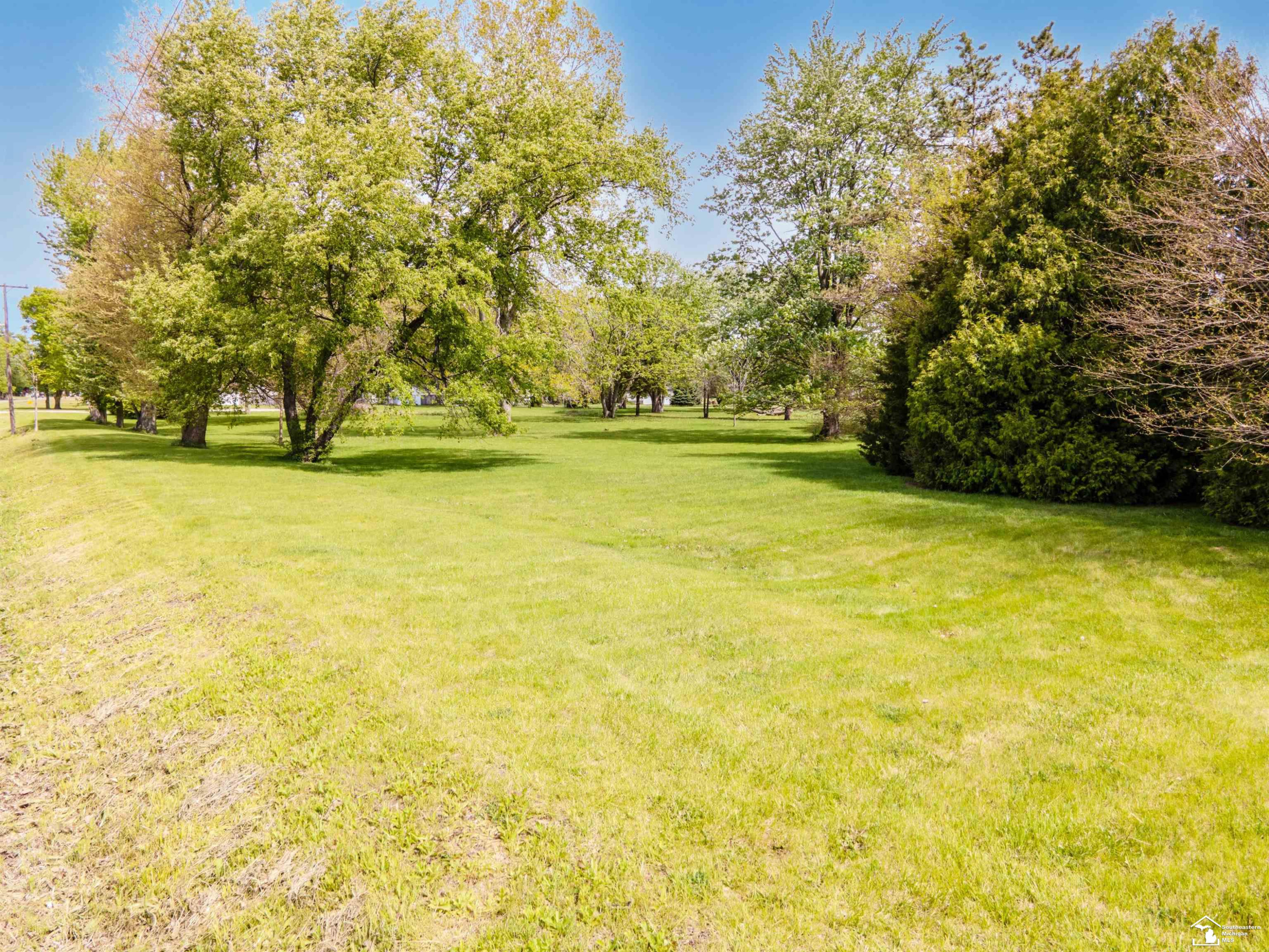4175 Teal Road, MI 49270 — Photo 8