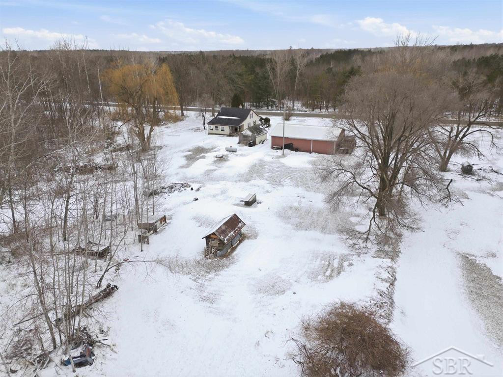 2177 W Knox Road, Beaverton, MI 48612 — Photo 32