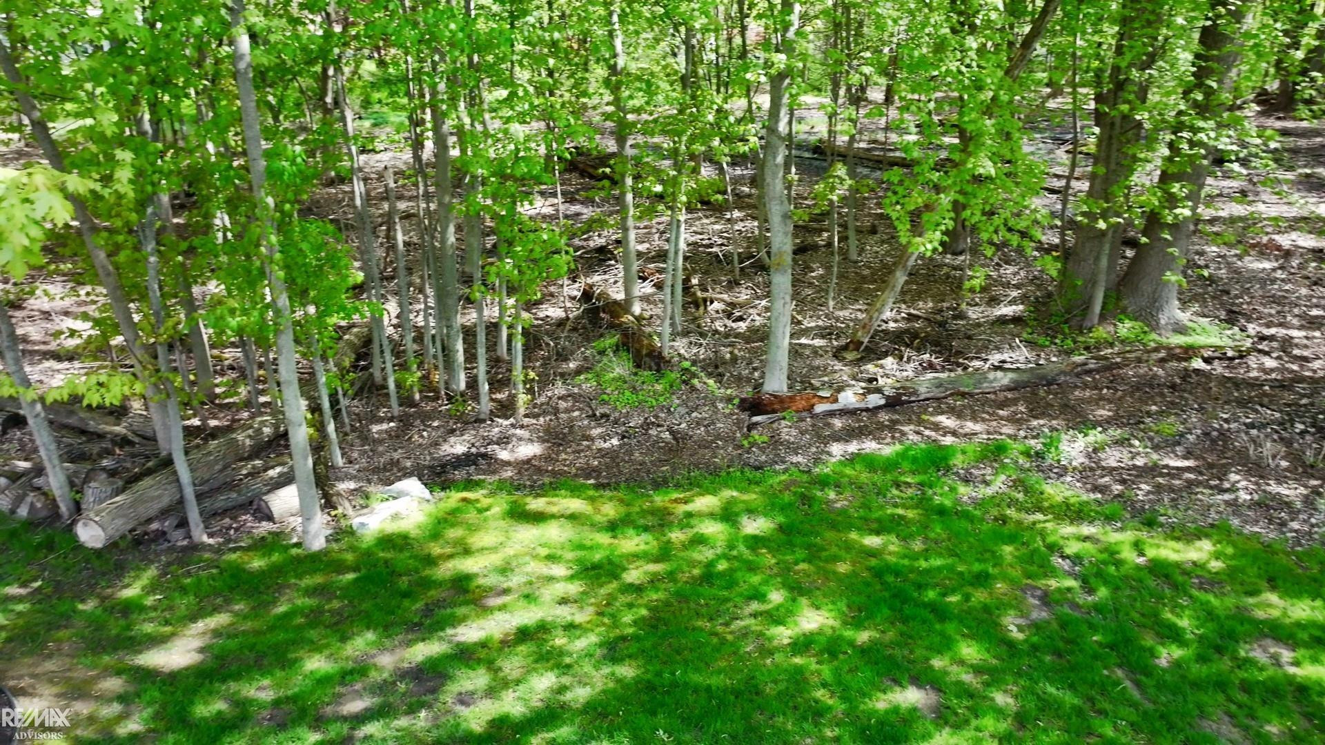 34389 Dante Drive, New Baltimore, MI 48047 — Photo 69