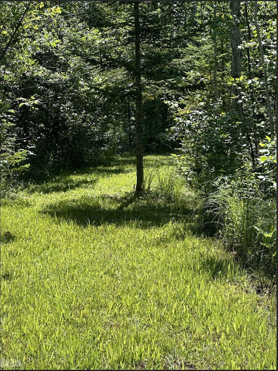 16865 Grace Harbor Road, Millersburg, MI 49759 — Photo 30