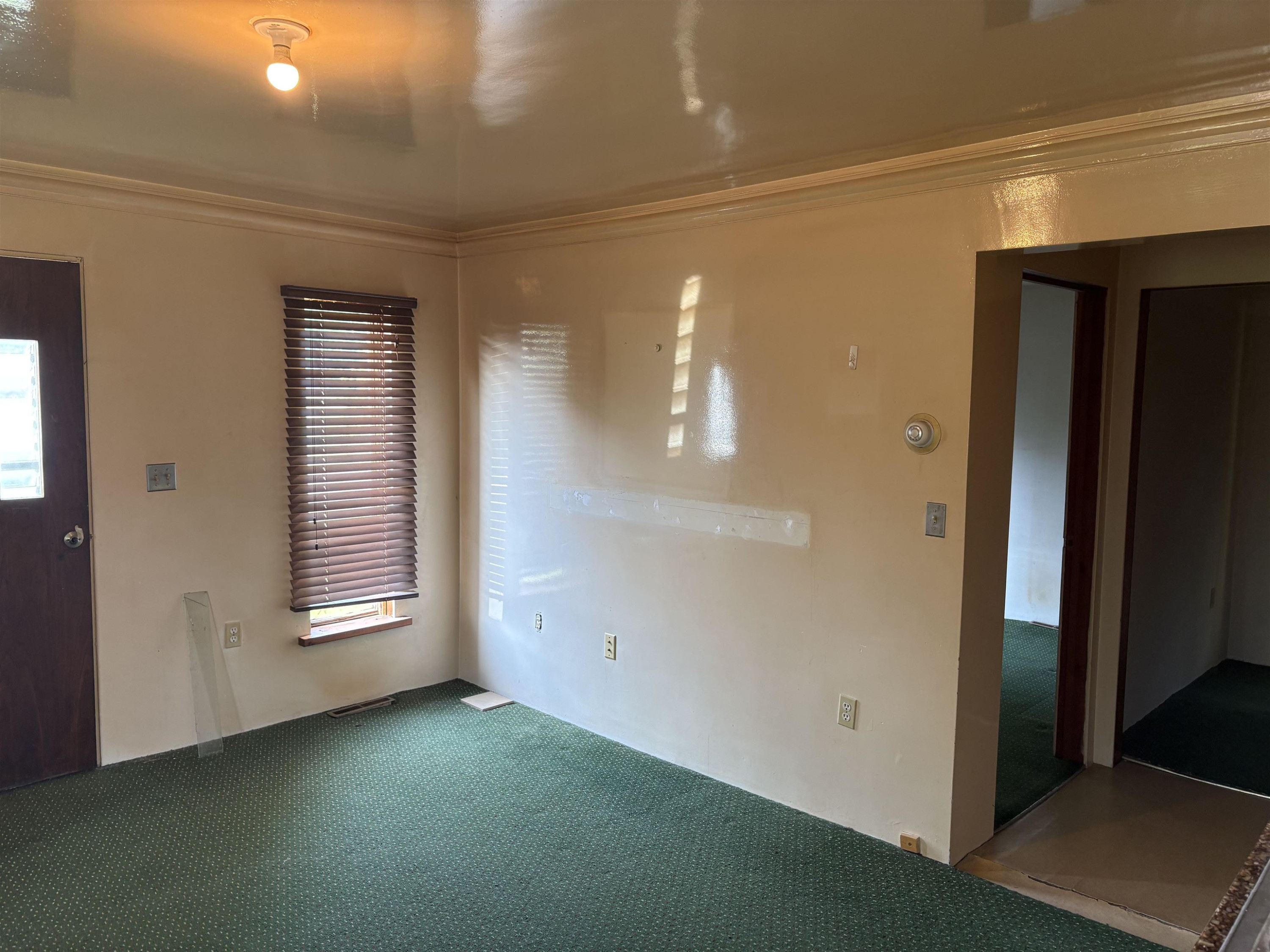 710 Bentley Street, Chesaning, MI 48616 — Photo 5