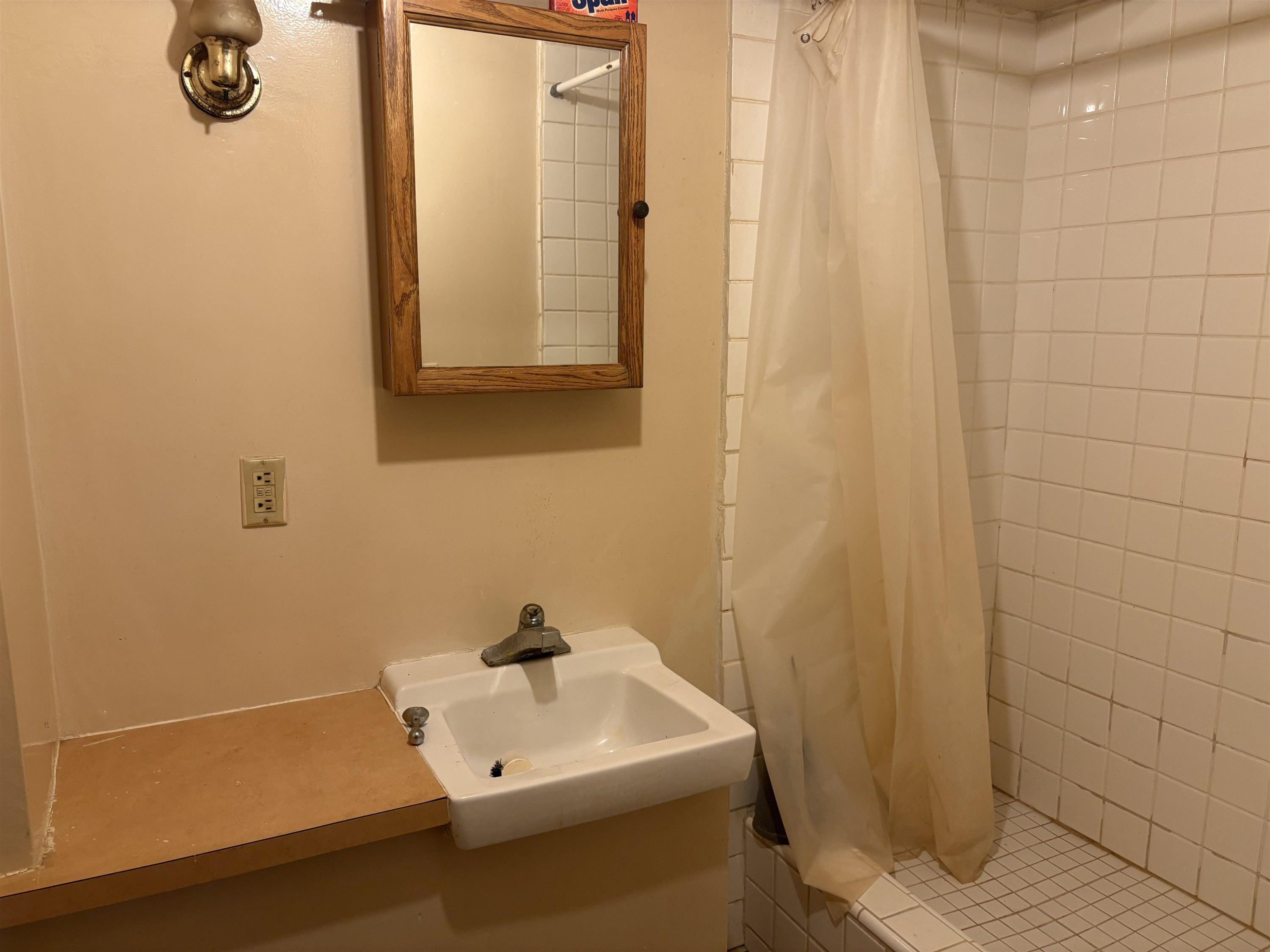 710 Bentley Street, Chesaning, MI 48616 — Photo 9
