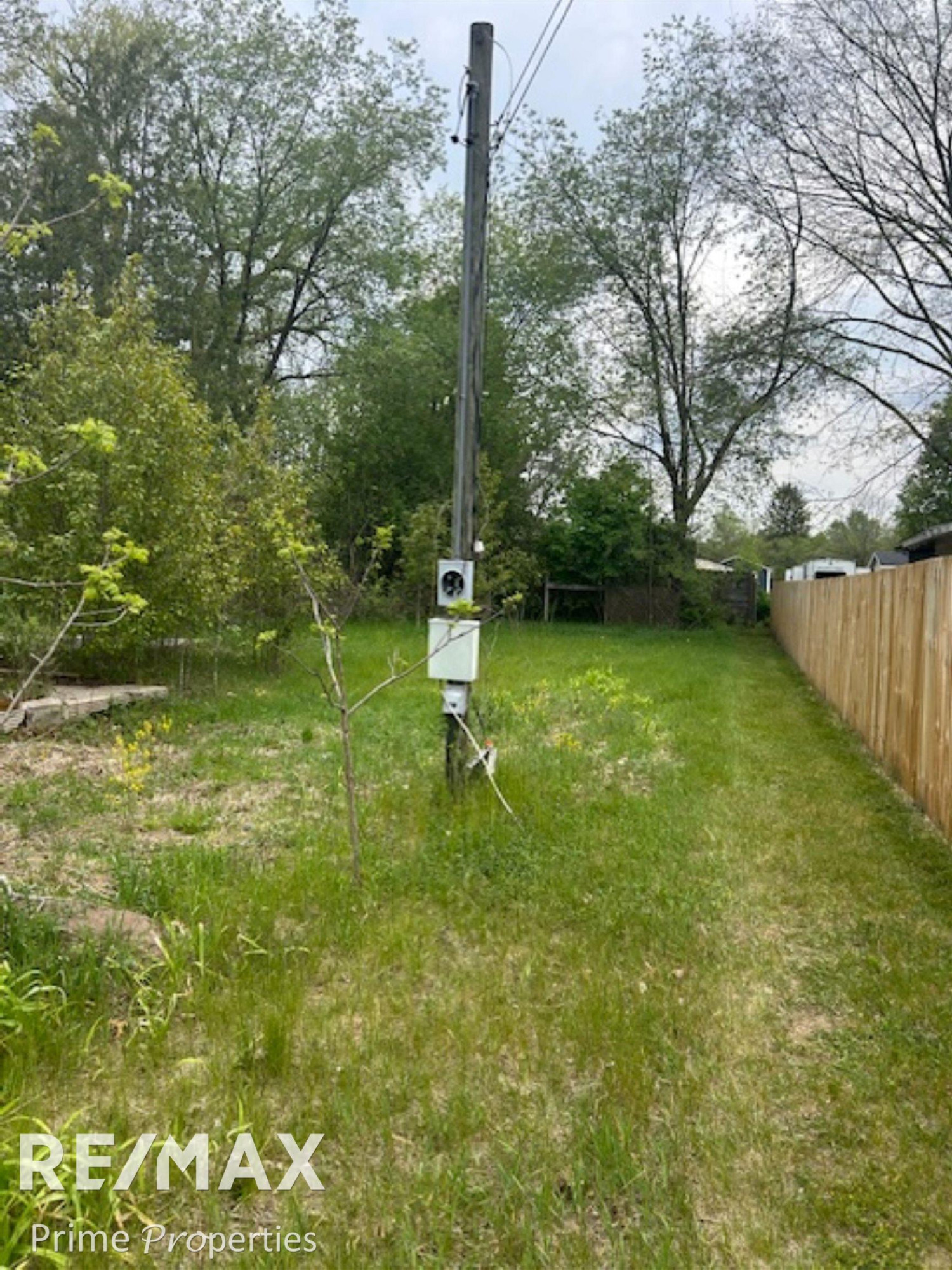418 Locust Street, Howard City, MI 49329 — Photo 9