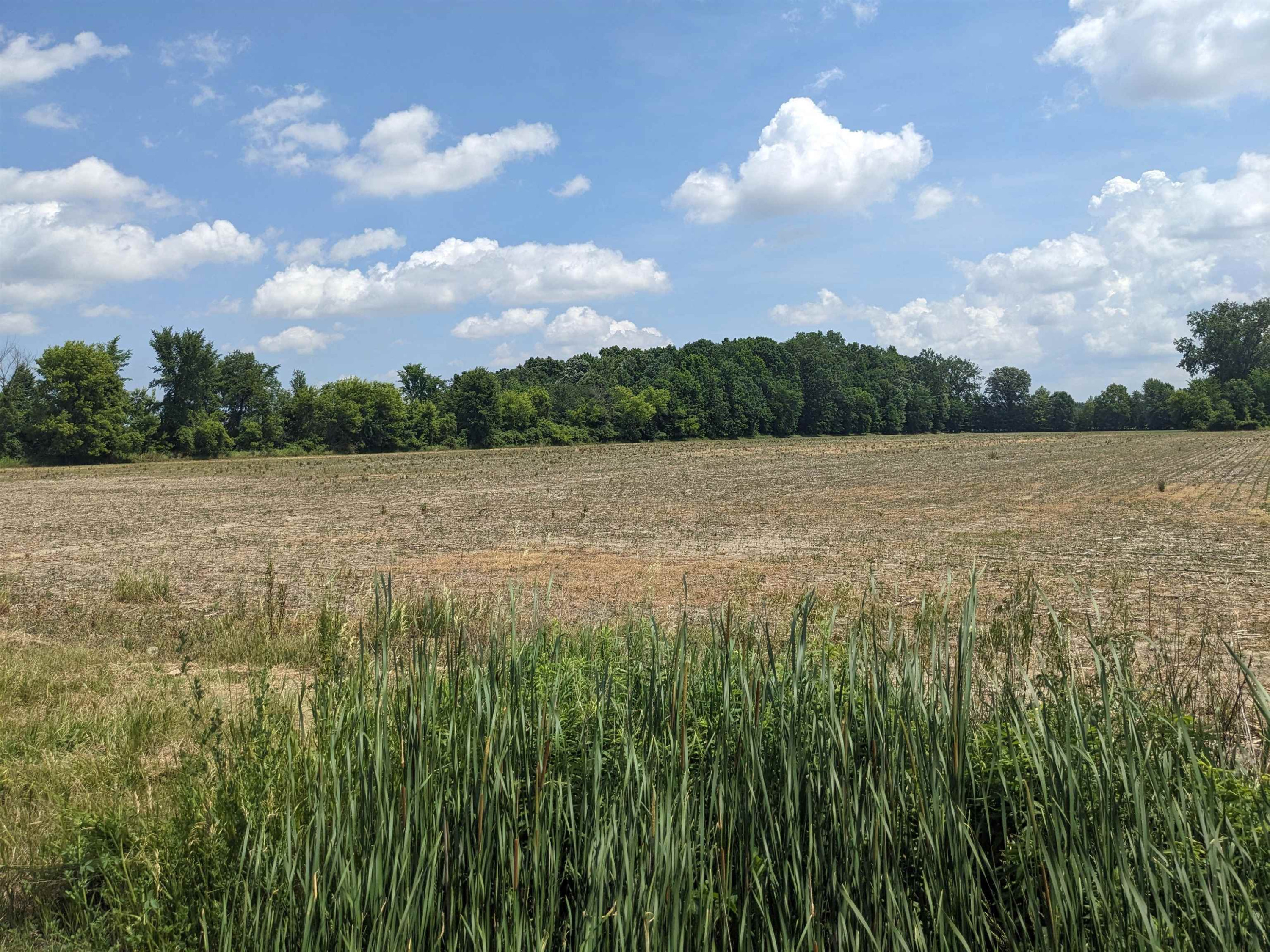0 Romeo Plank Road, MI — Photo 2