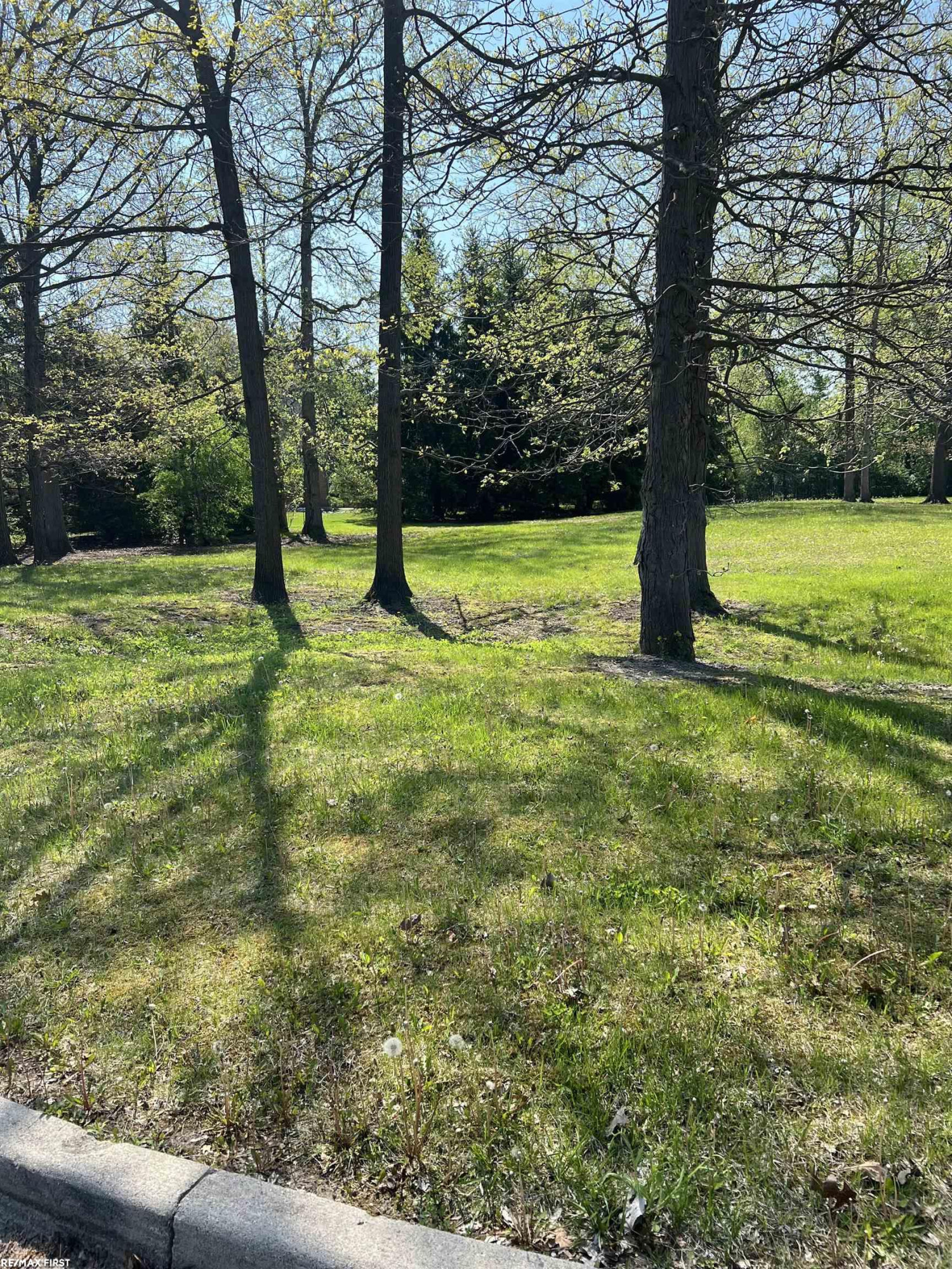 1 Golfside Drive, 4, MI 48079 — Photo 2