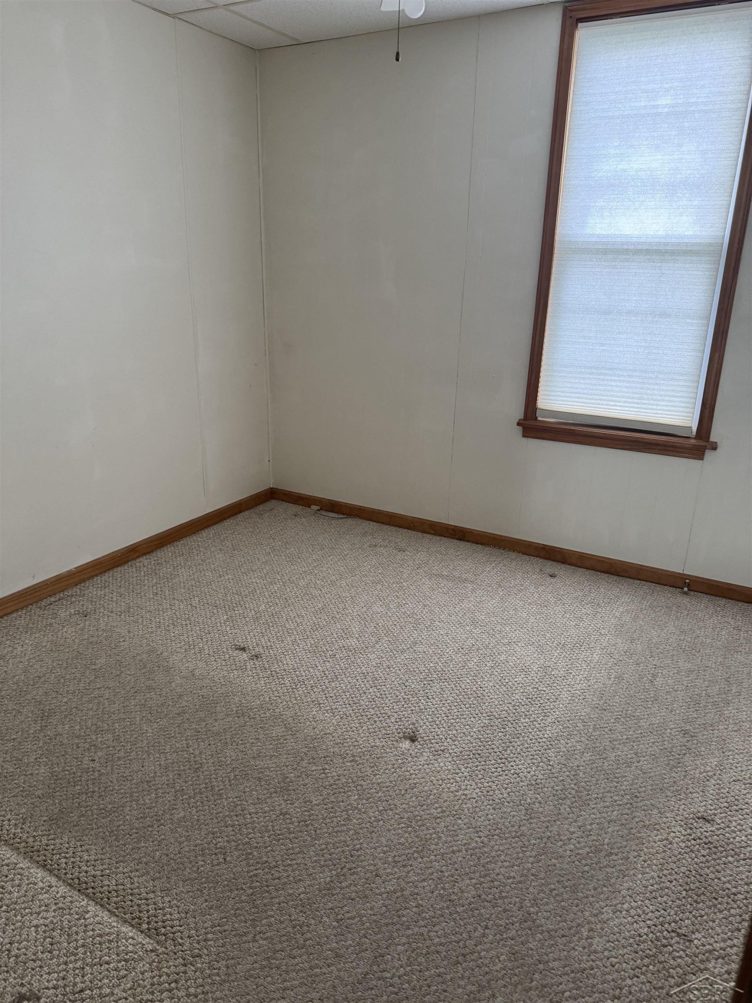 624 Baltic Road, Saint Charles, MI 48655 — Photo 8