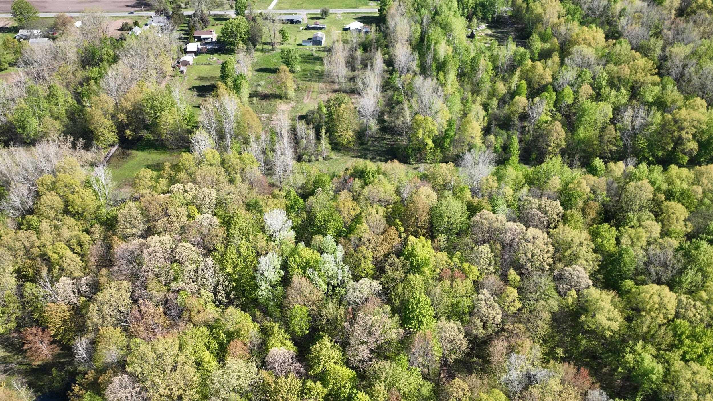 1546 E Birch Run Road, Burt, MI 48417 — Photo 4