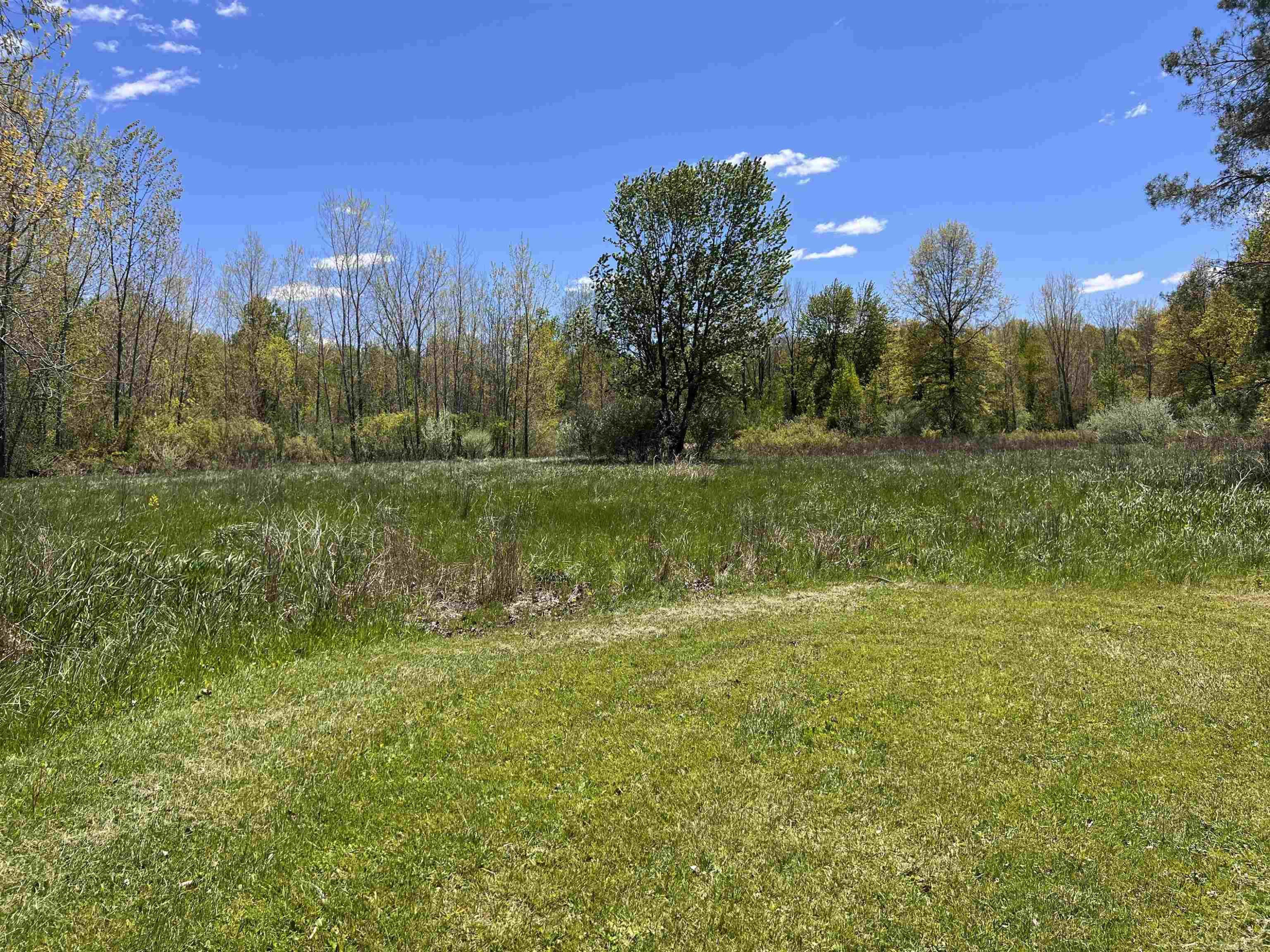 1546 E Birch Run Road, Burt, MI 48417 — Photo 71