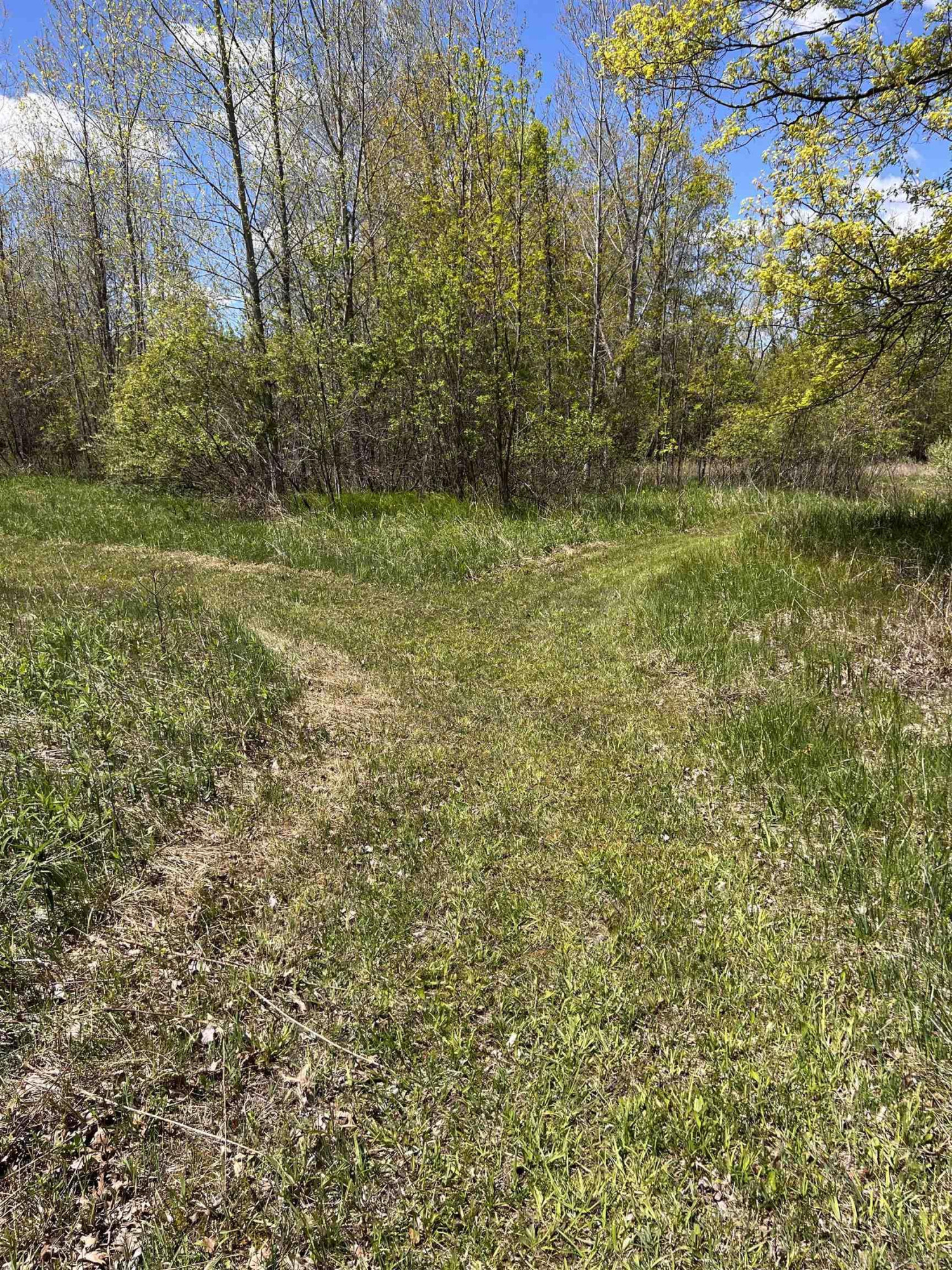1546 E Birch Run Road, Burt, MI 48417 — Photo 76