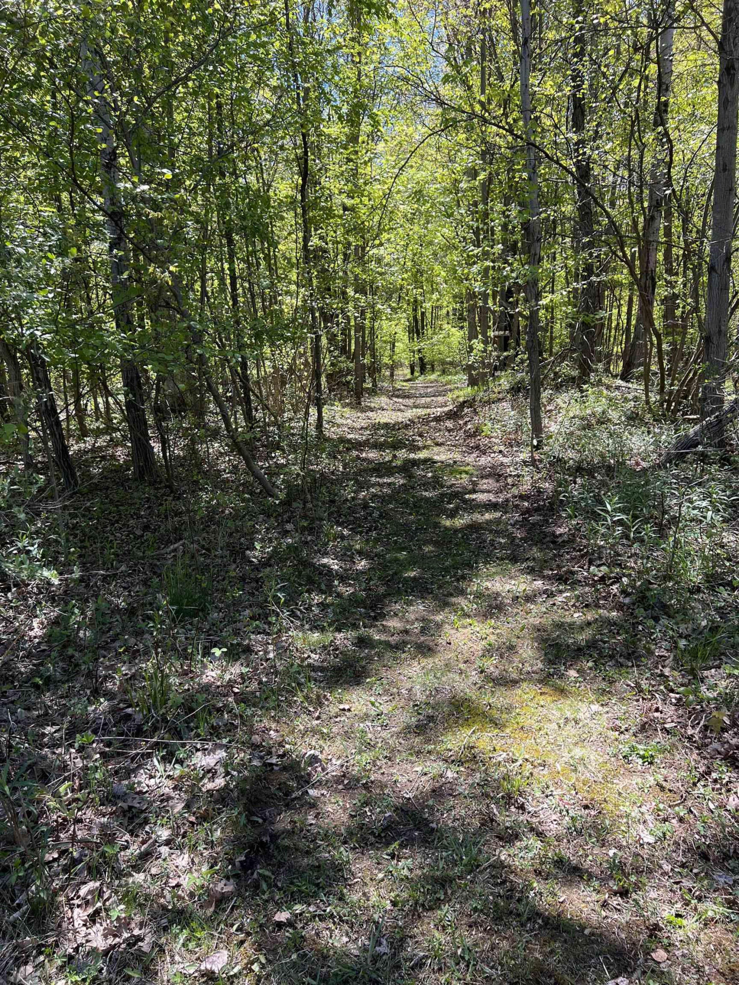 1546 E Birch Run Road, Burt, MI 48417 — Photo 77