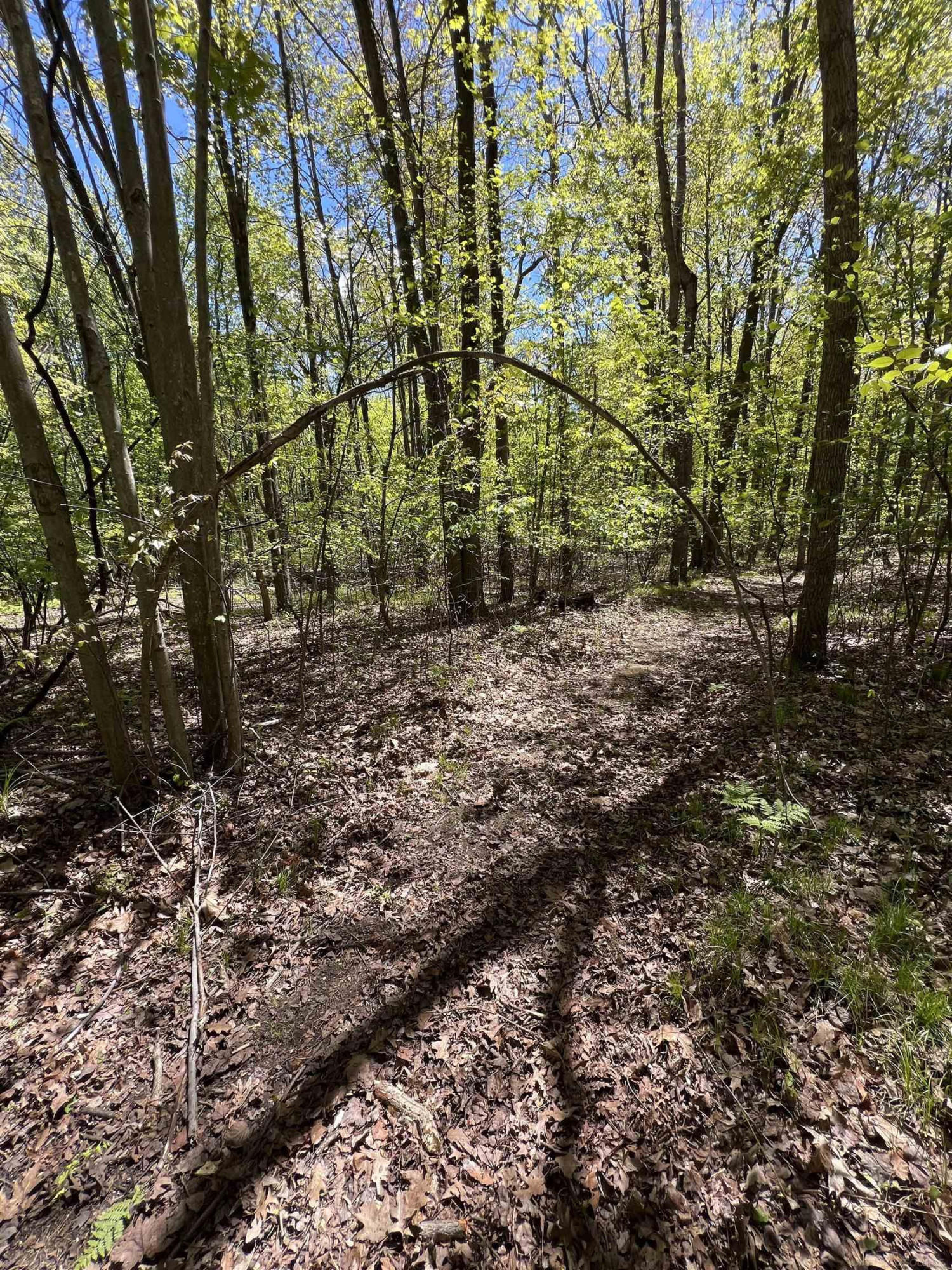 1546 E Birch Run Road, Burt, MI 48417 — Photo 81