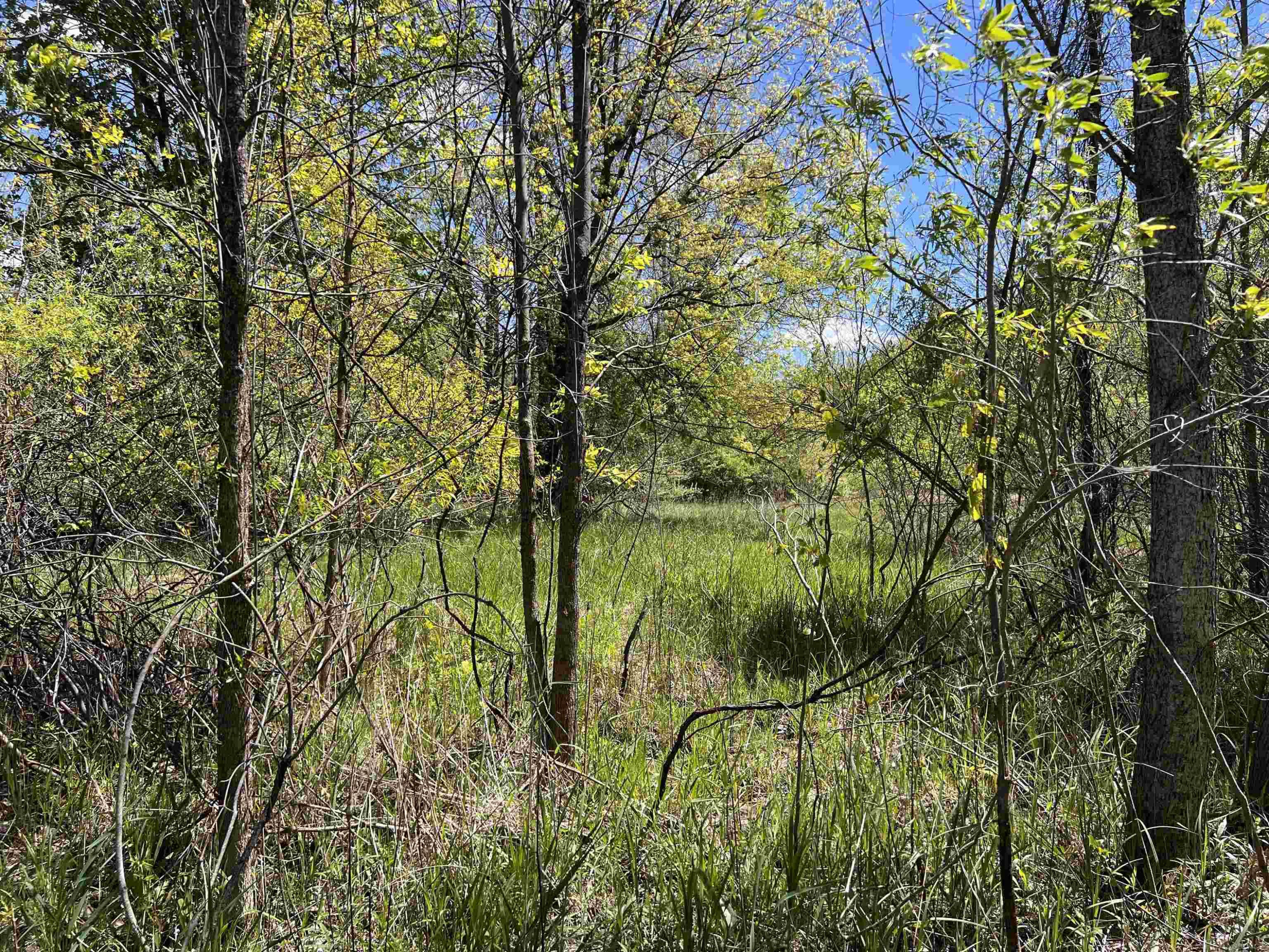 1546 E Birch Run Road, Burt, MI 48417 — Photo 87