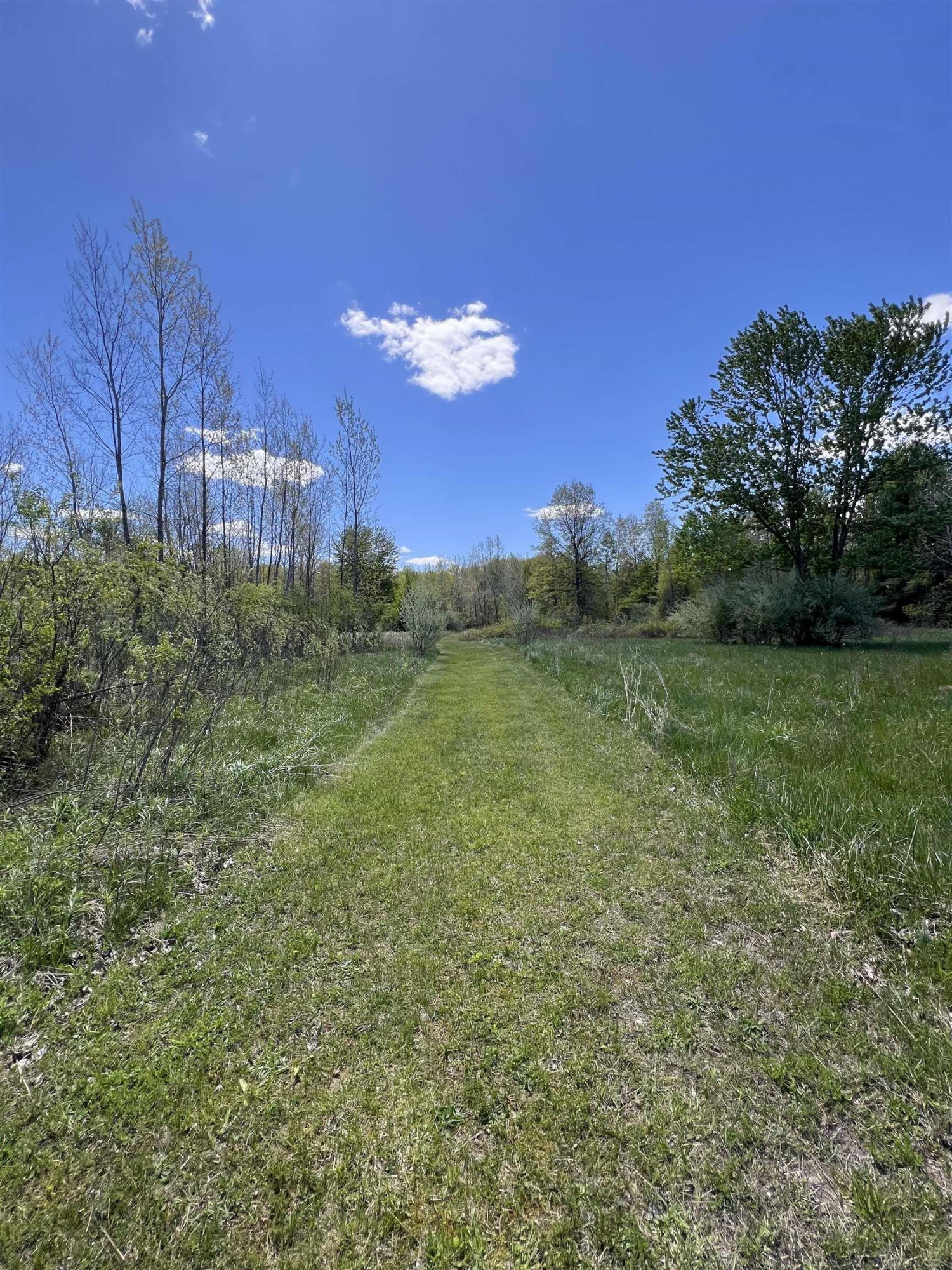 1546 E Birch Run Road, Burt, MI 48417 — Photo 89