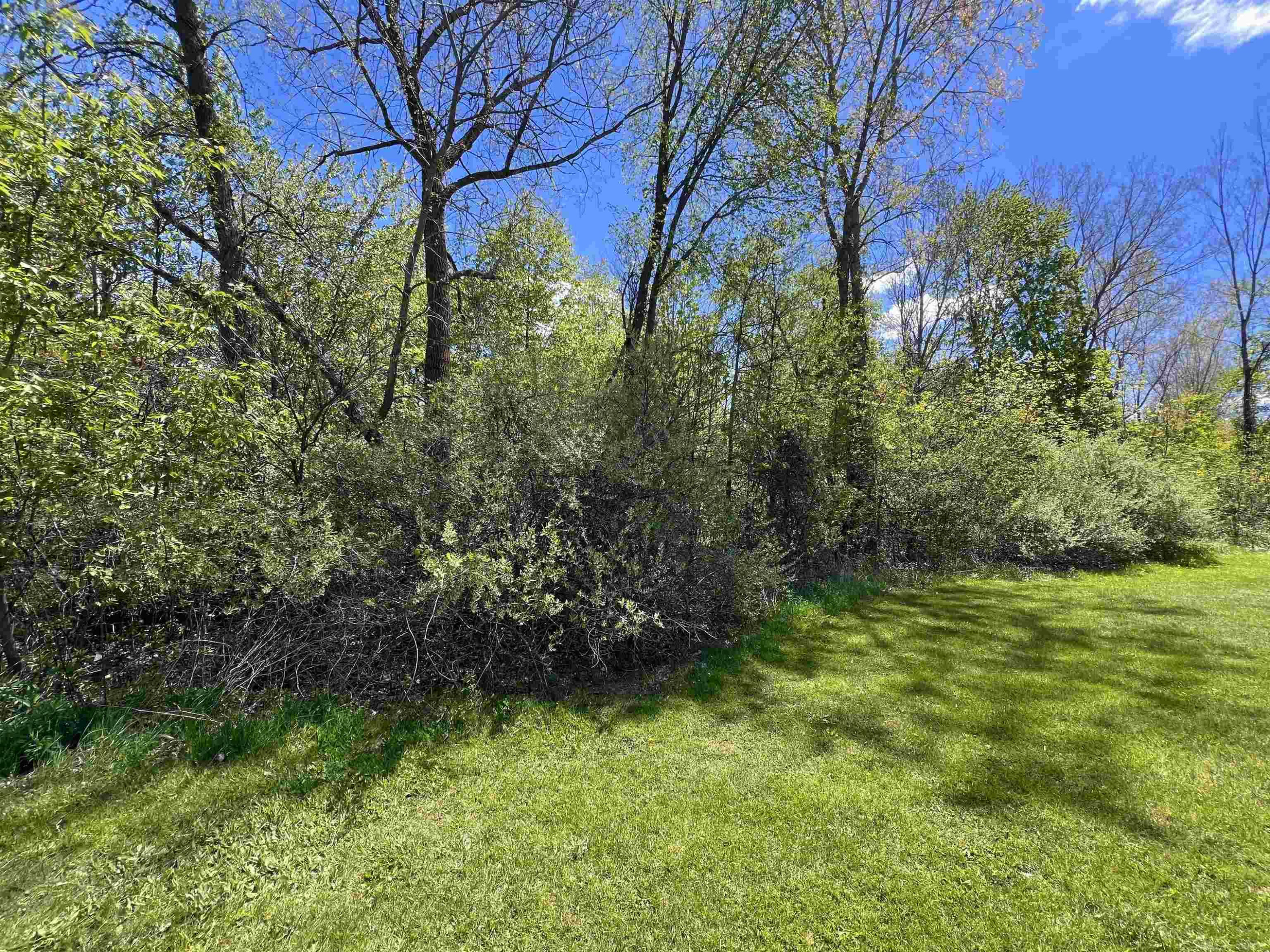 1546 E Birch Run Road, Burt, MI 48417 — Photo 90