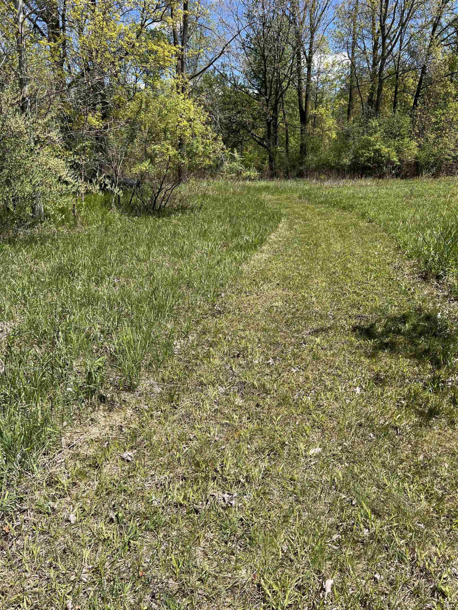 1546 E Birch Run Road, Burt, MI 48417 — Photo 92