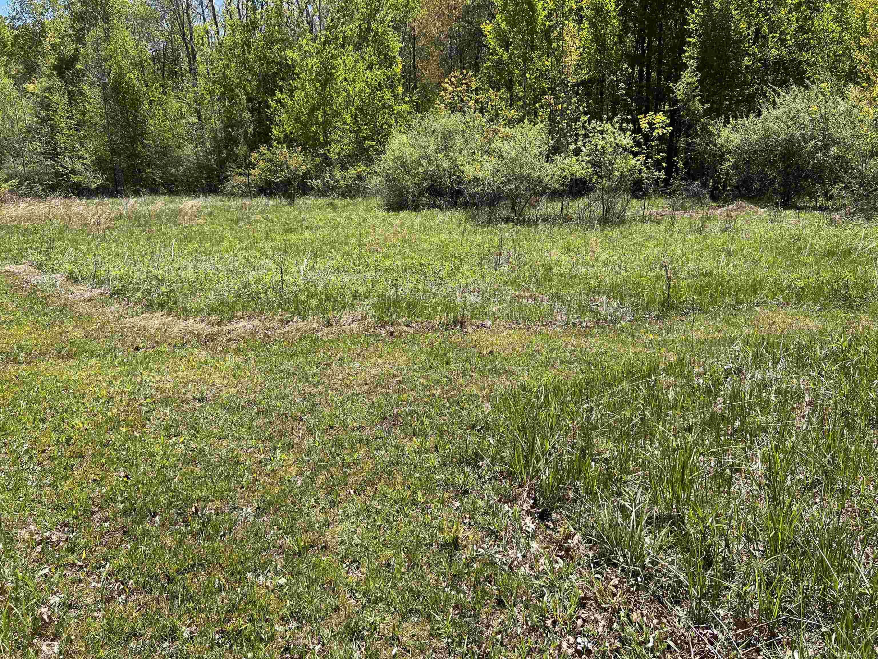1546 E Birch Run Road, Burt, MI 48417 — Photo 93