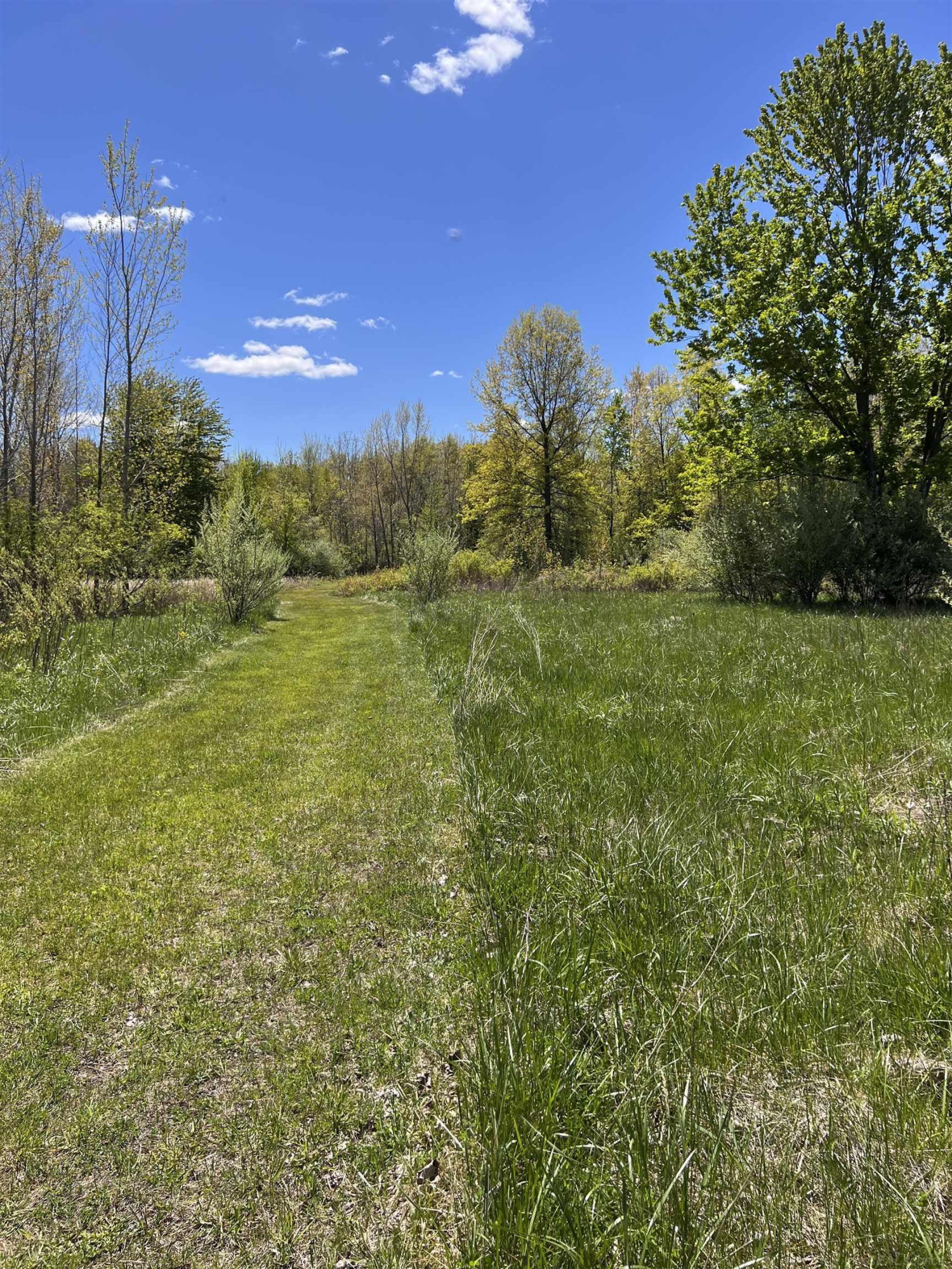 1546 E Birch Run Road, Burt, MI 48417 — Photo 95