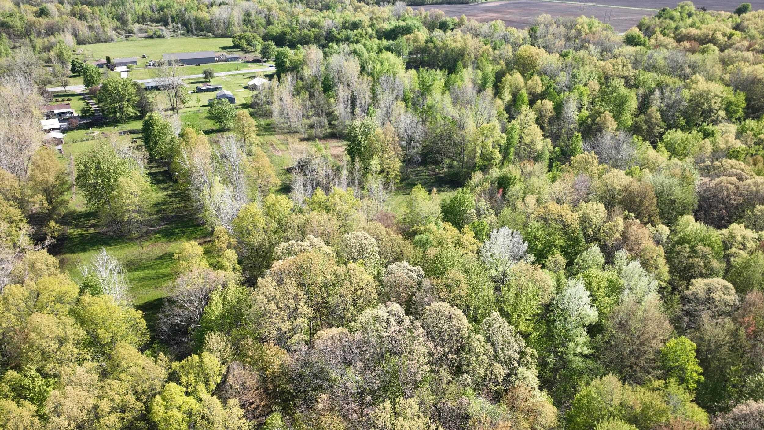 1546 E Birch Run Road, Burt, MI 48417 — Photo 98