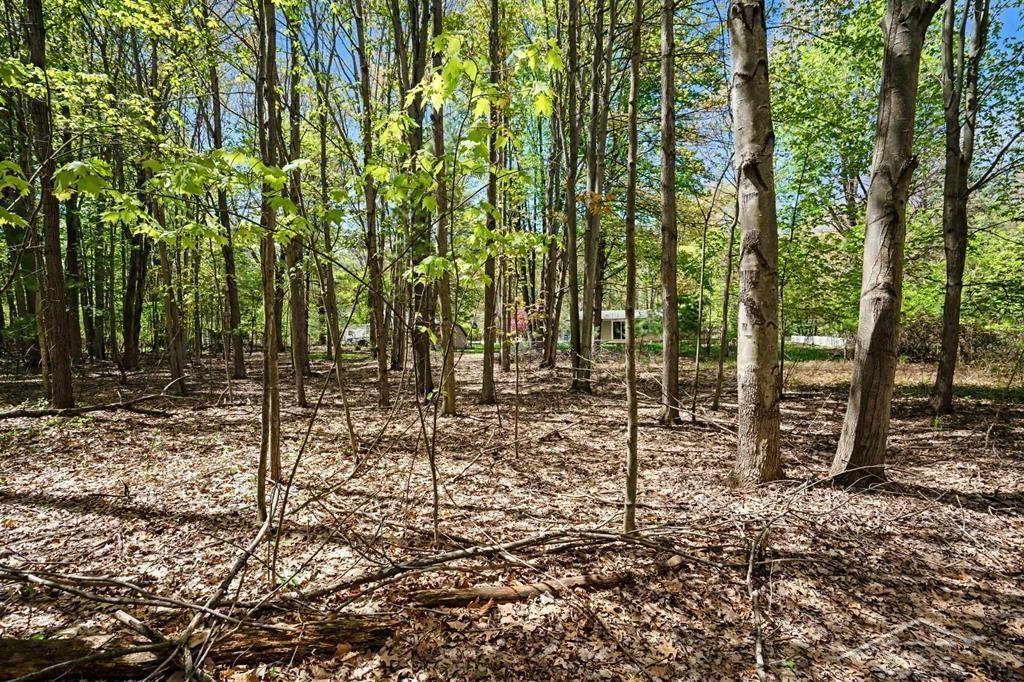 778 E Pine River Road, Midland, MI 48640 — Photo 16