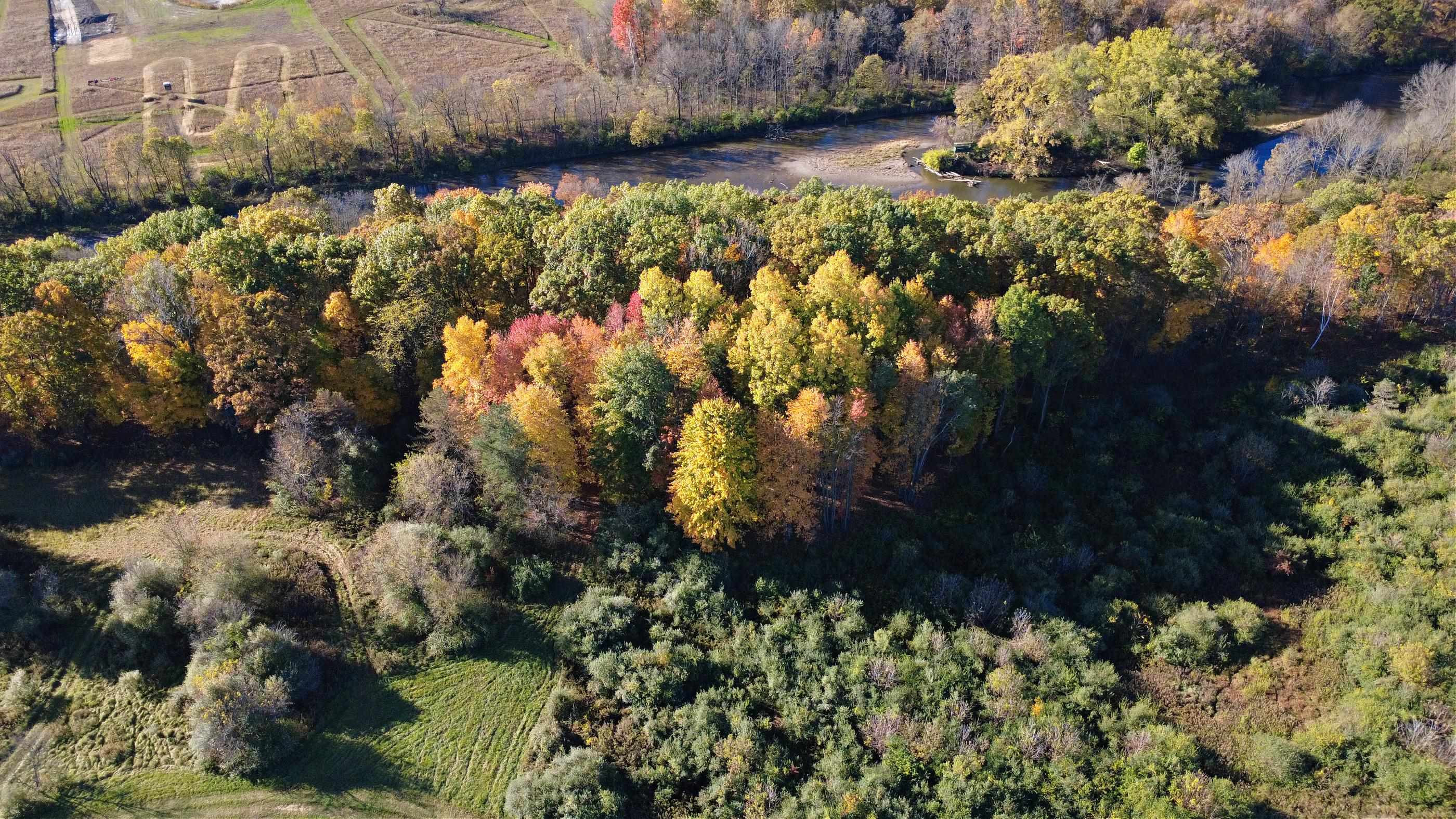 10241 N McKinley Road, Montrose, MI 48457 — Photo 14