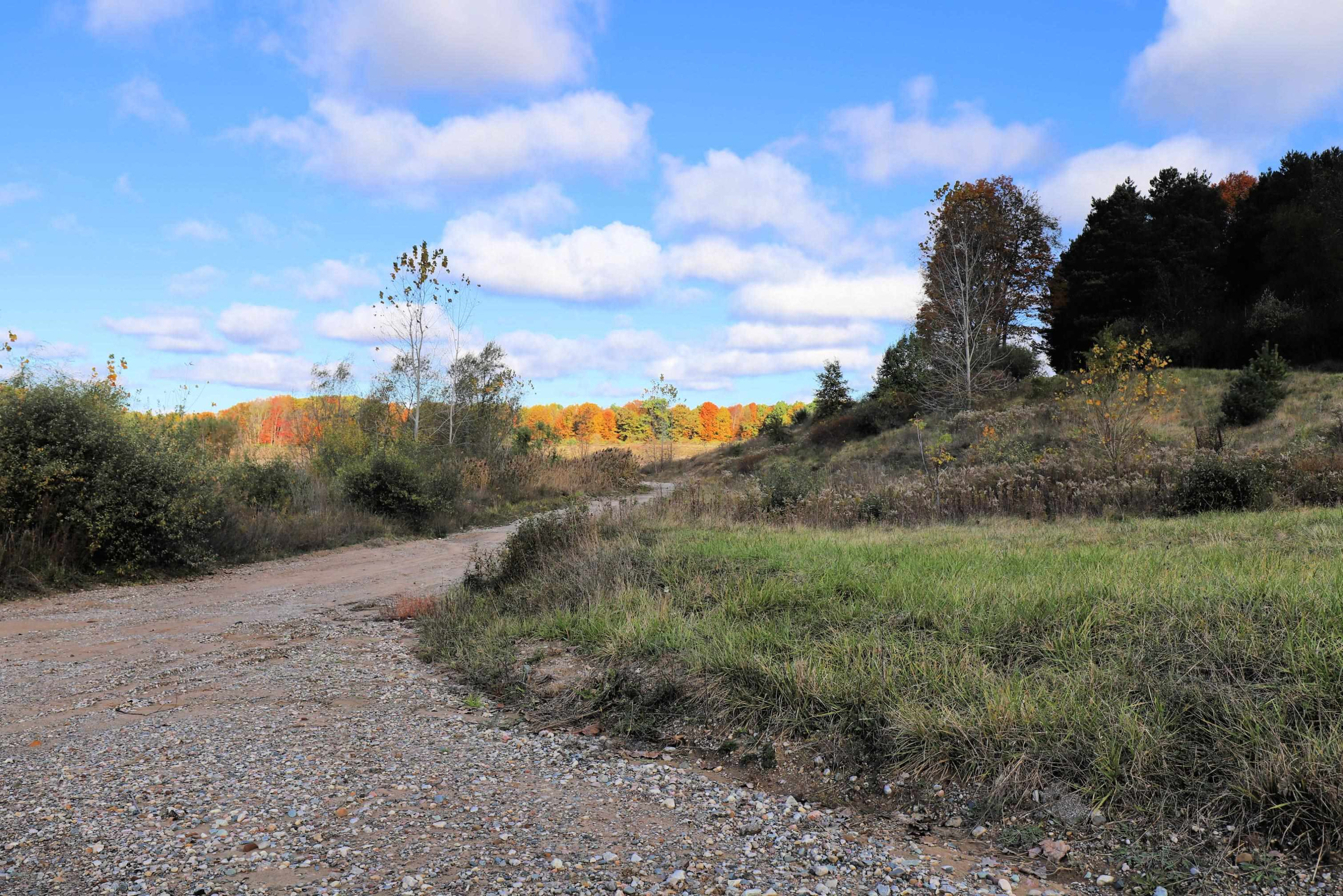 10241 N McKinley Road, Montrose, MI 48457 — Photo 15
