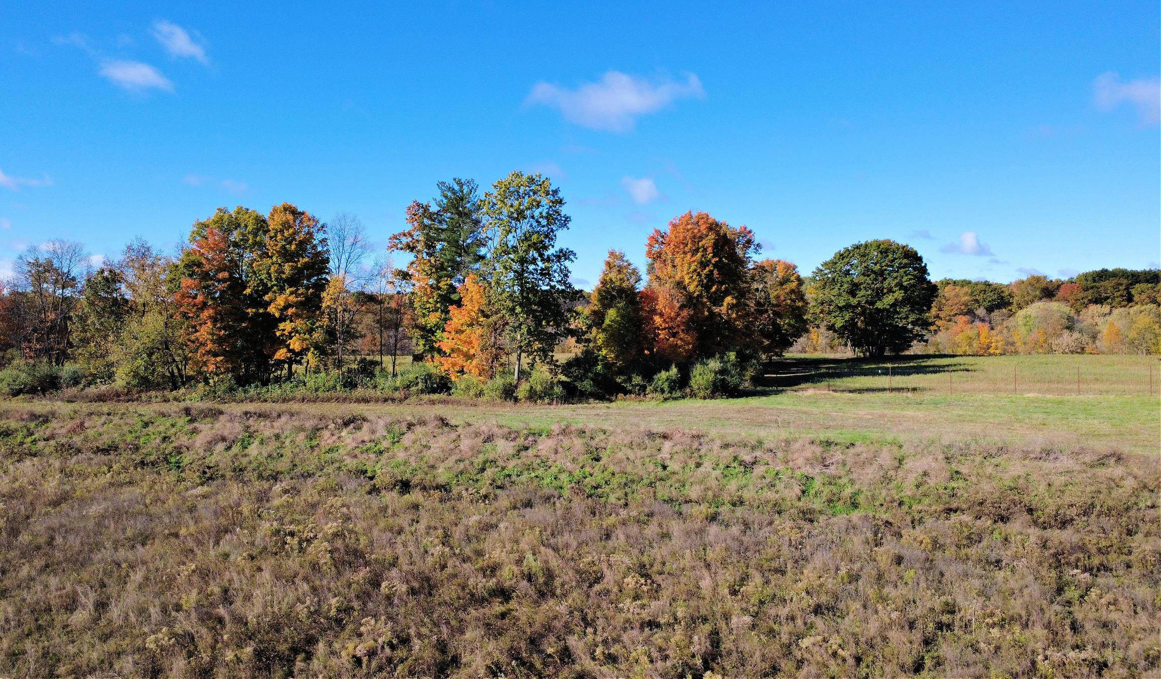 10241 N McKinley Road, Montrose, MI 48457 — Photo 16