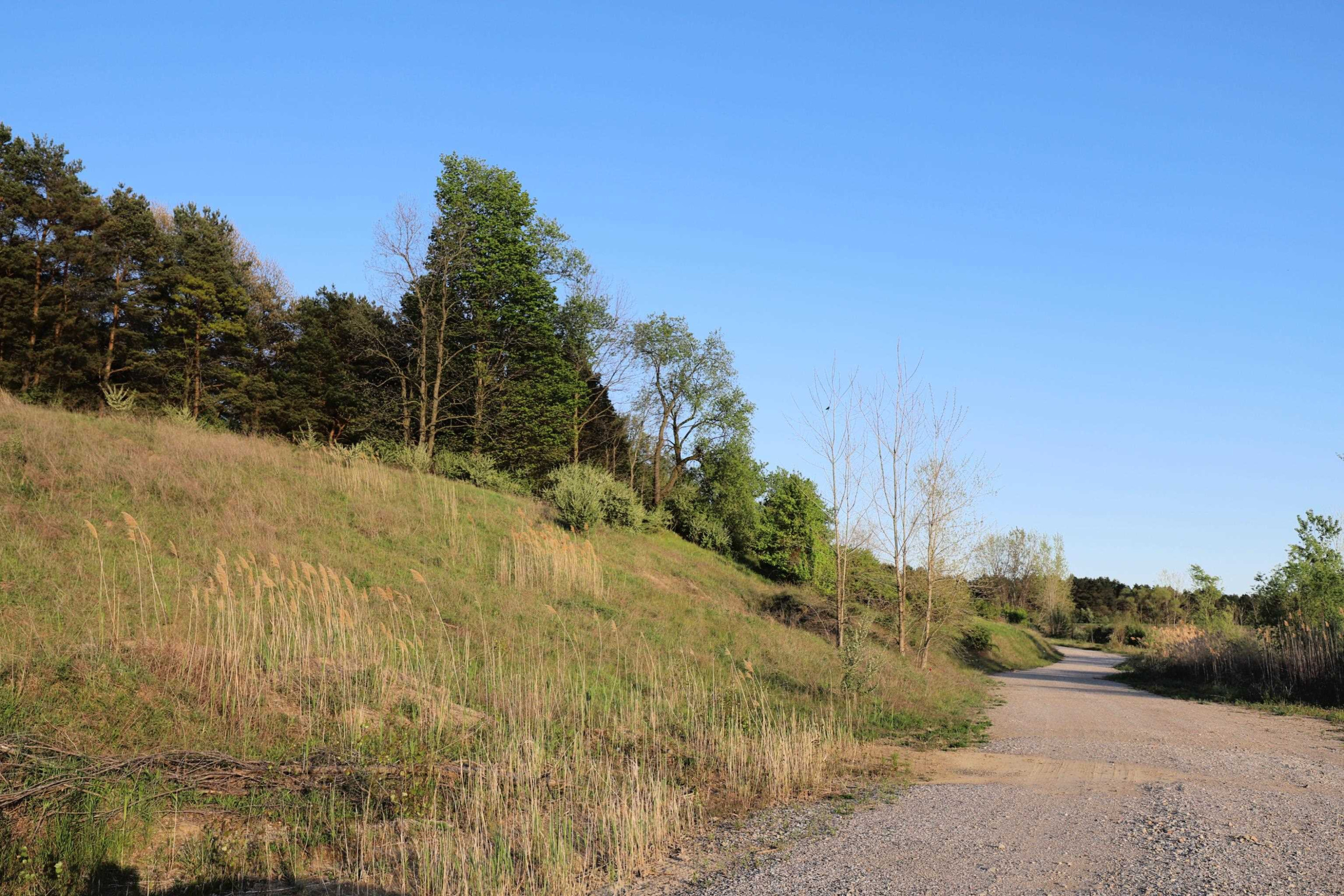10241 N McKinley Road, Montrose, MI 48457 — Photo 19