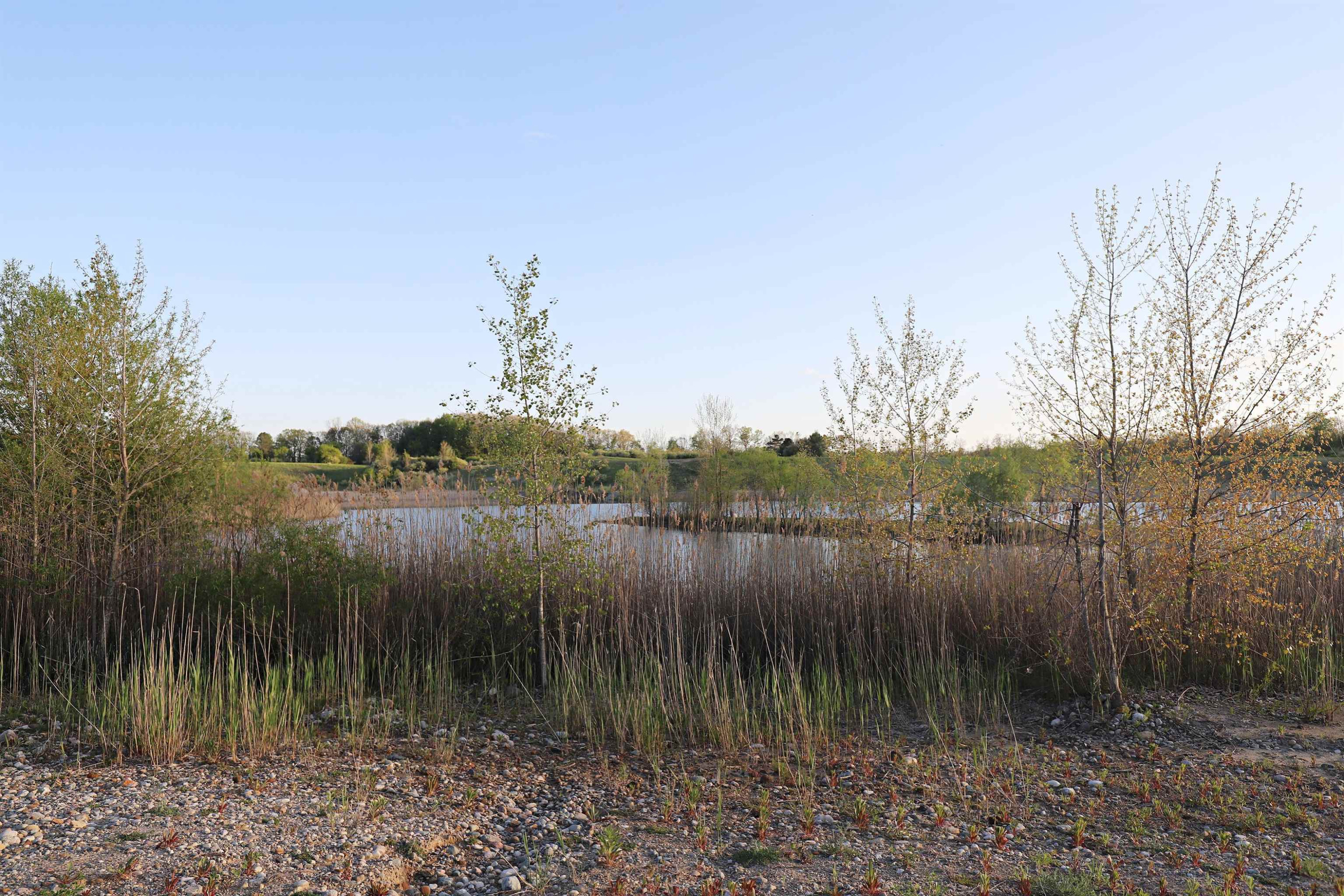10241 N McKinley Road, Montrose, MI 48457 — Photo 20
